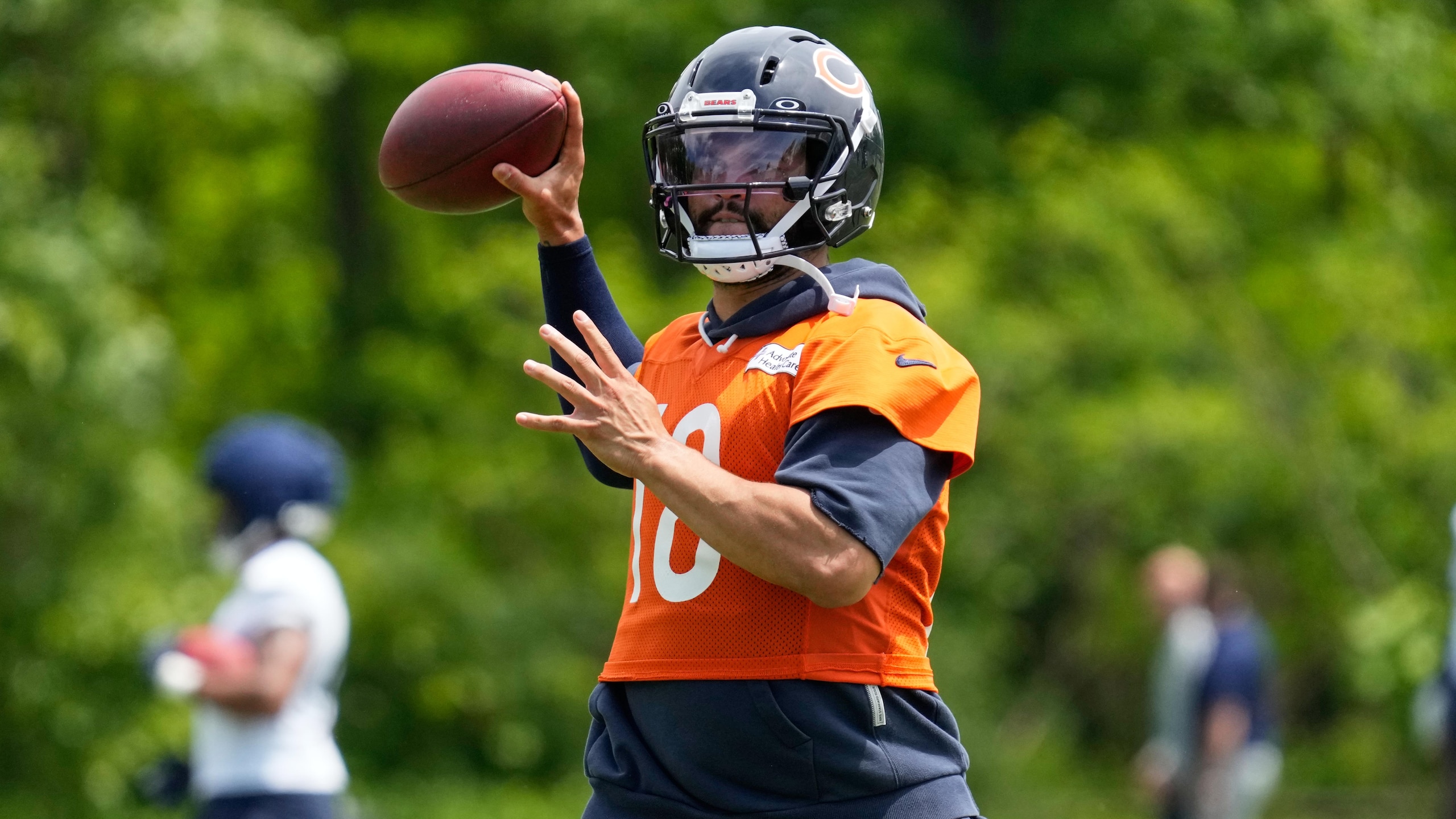 Bears Football