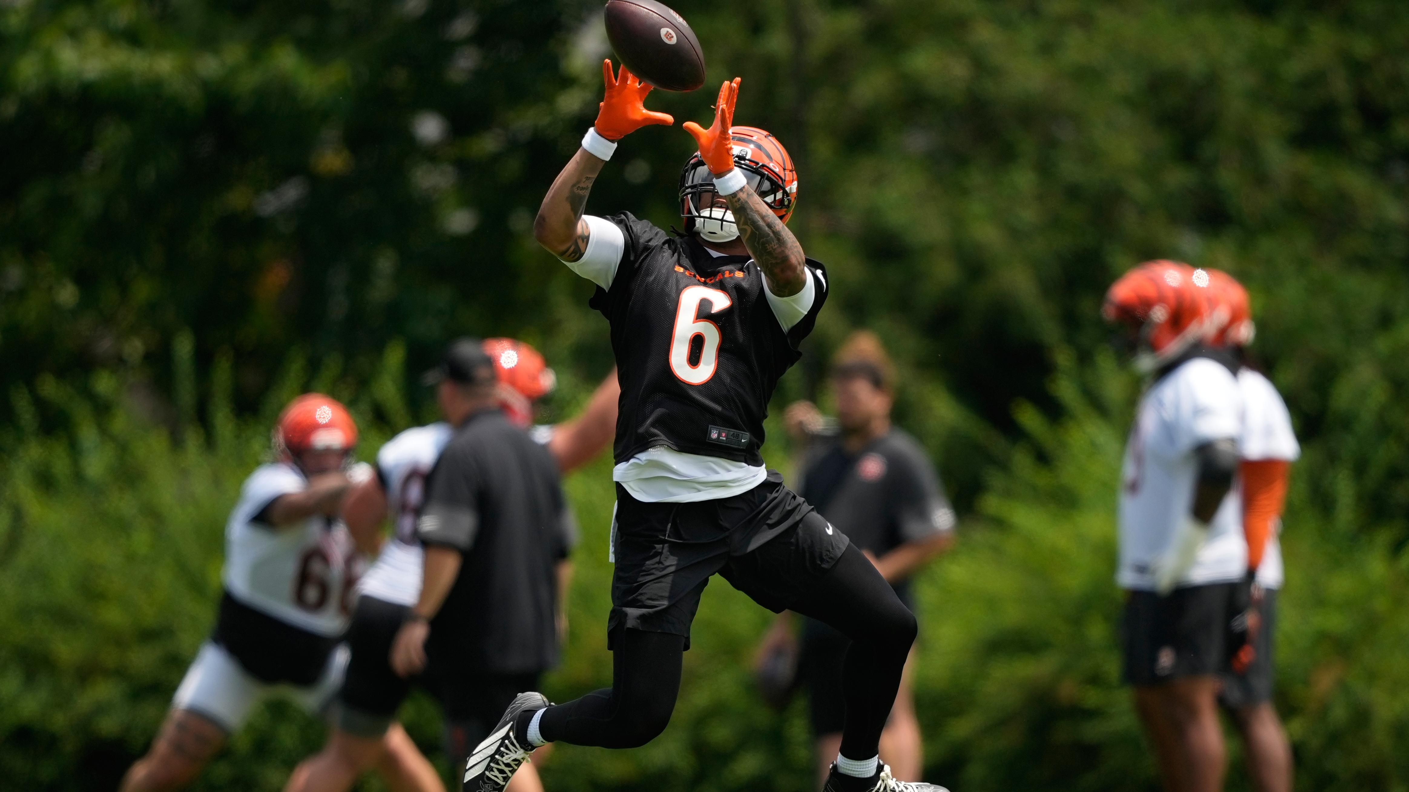 Bengals Football