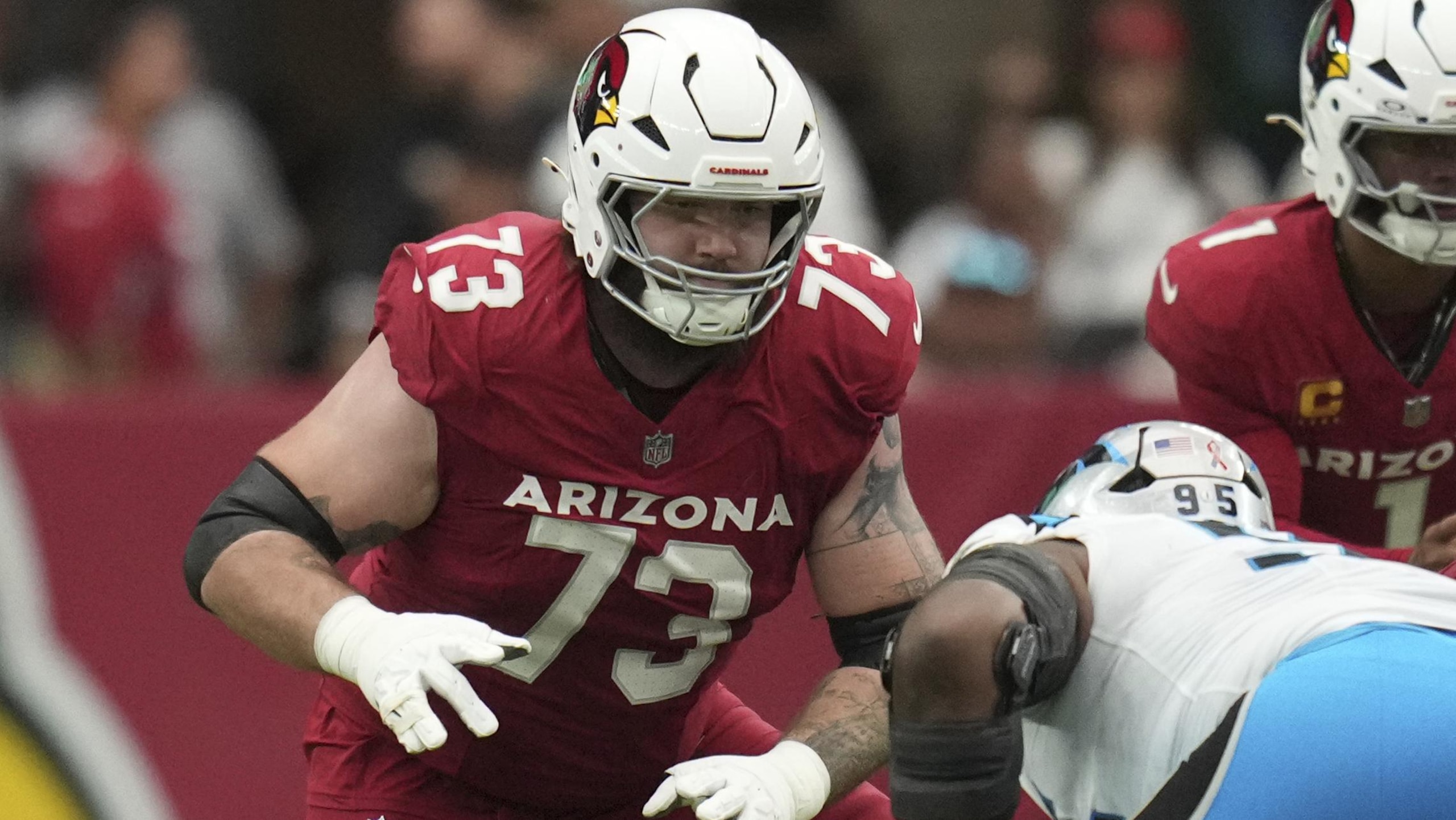 Panthers Cardinals Football