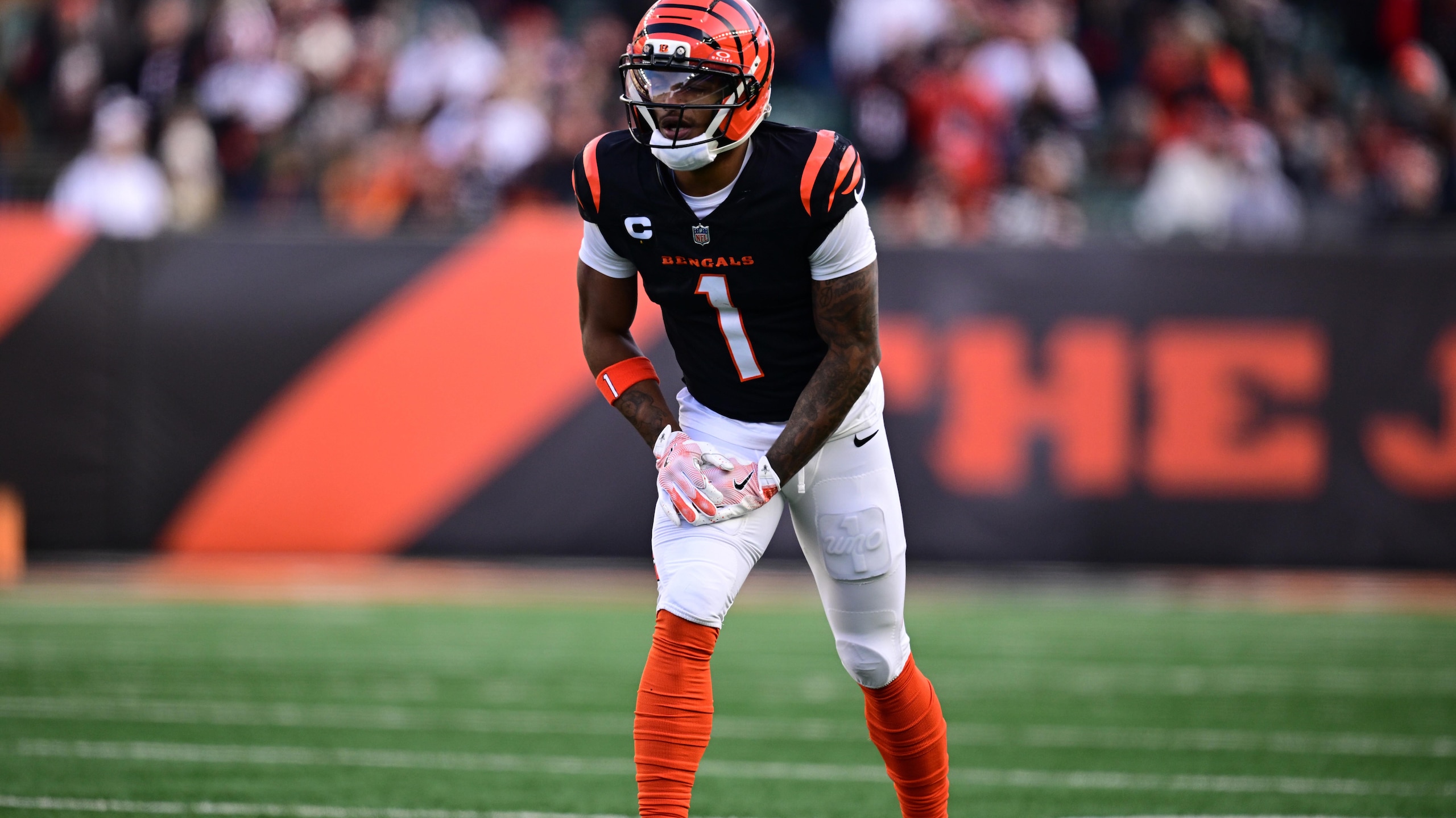 Browns Bengals Football