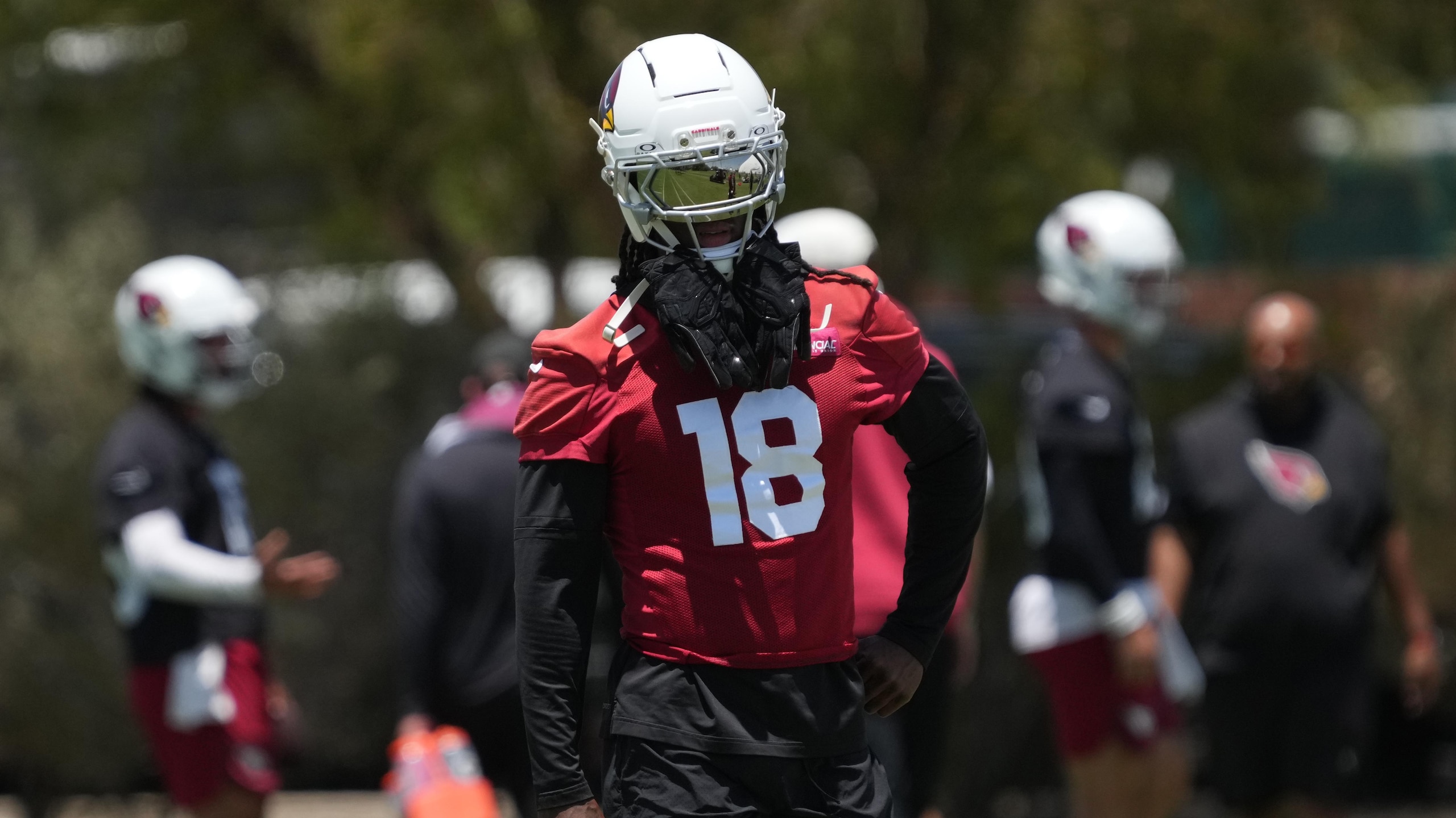 Cardinals Football