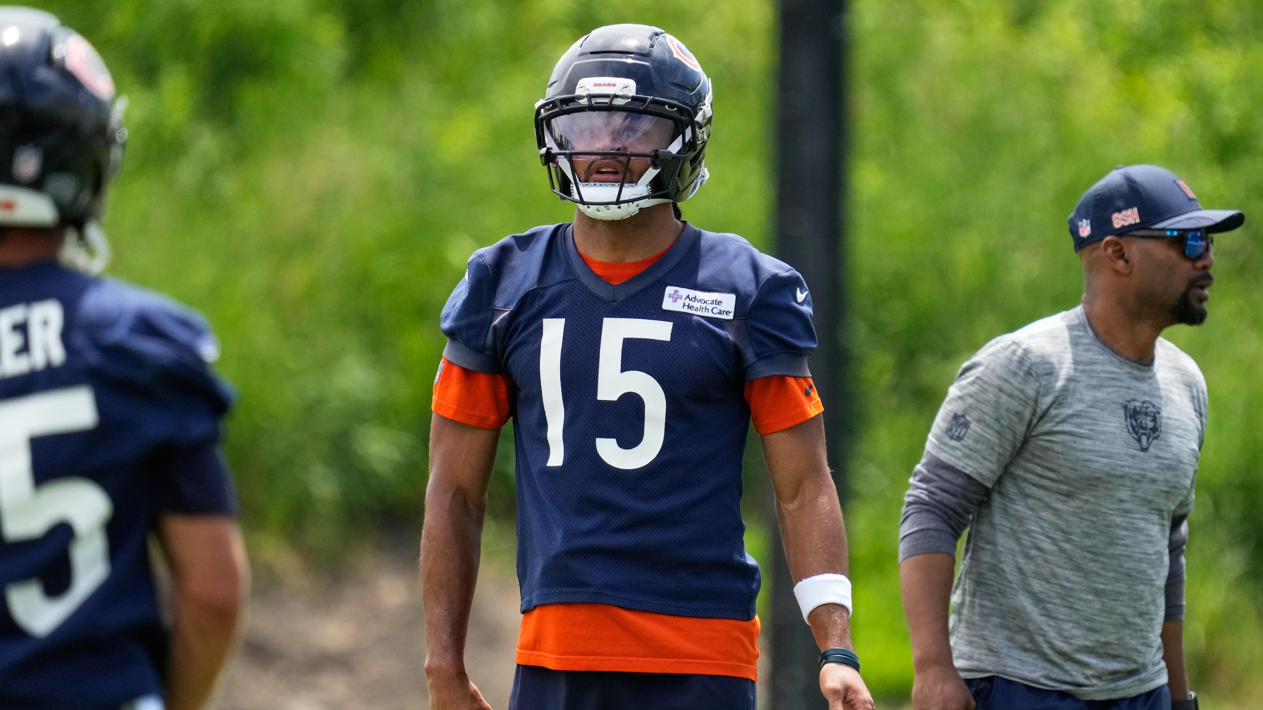Bears Football