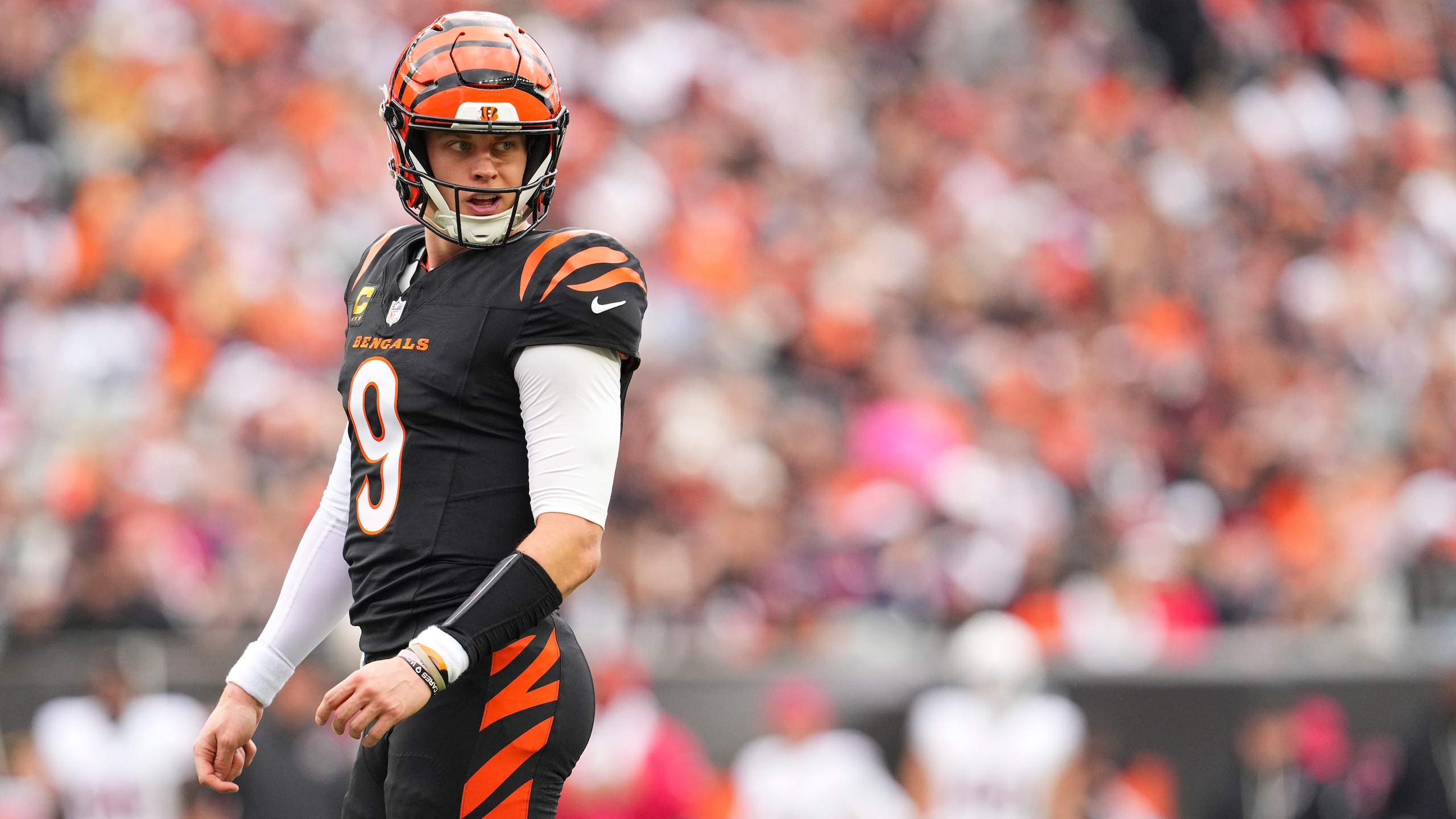 Cardinals Bengals Football