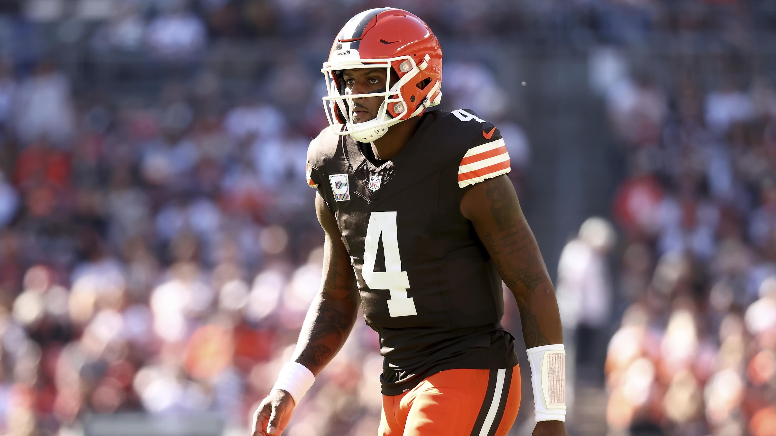 Bengals Browns Football
