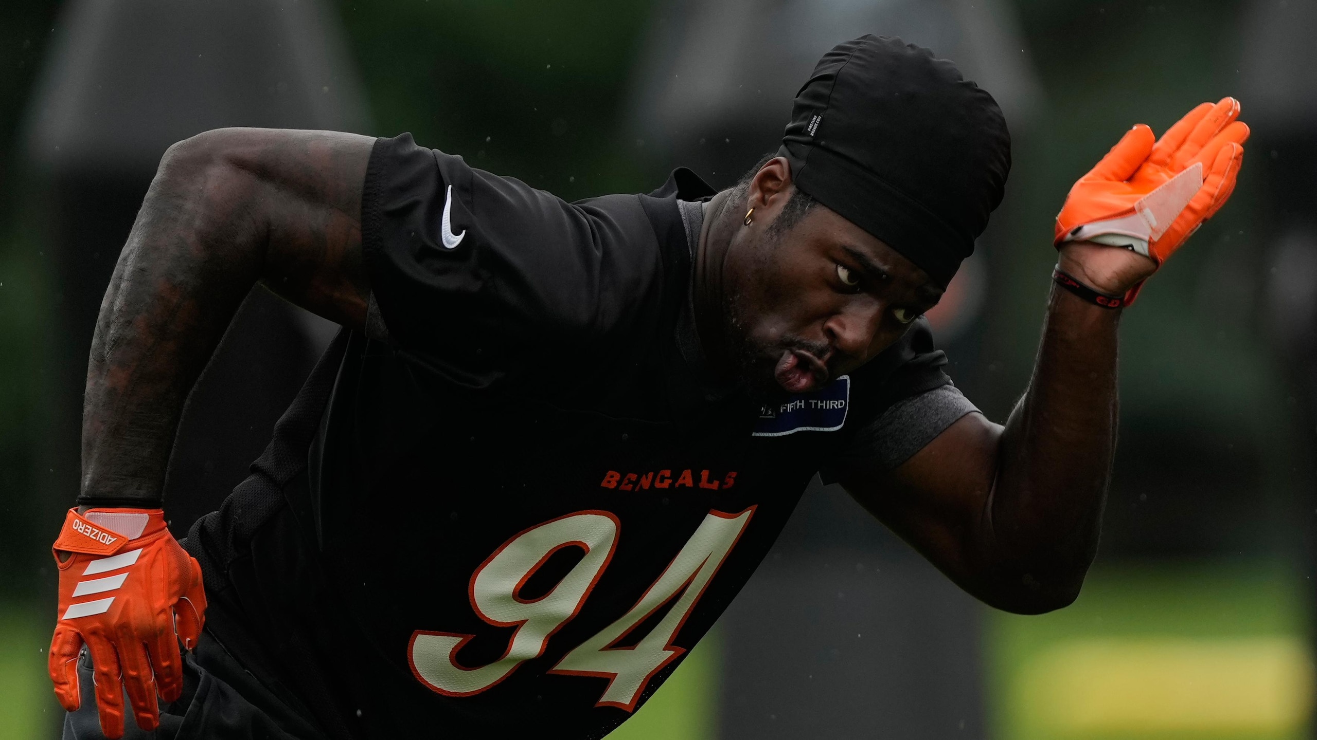 Bengals Football