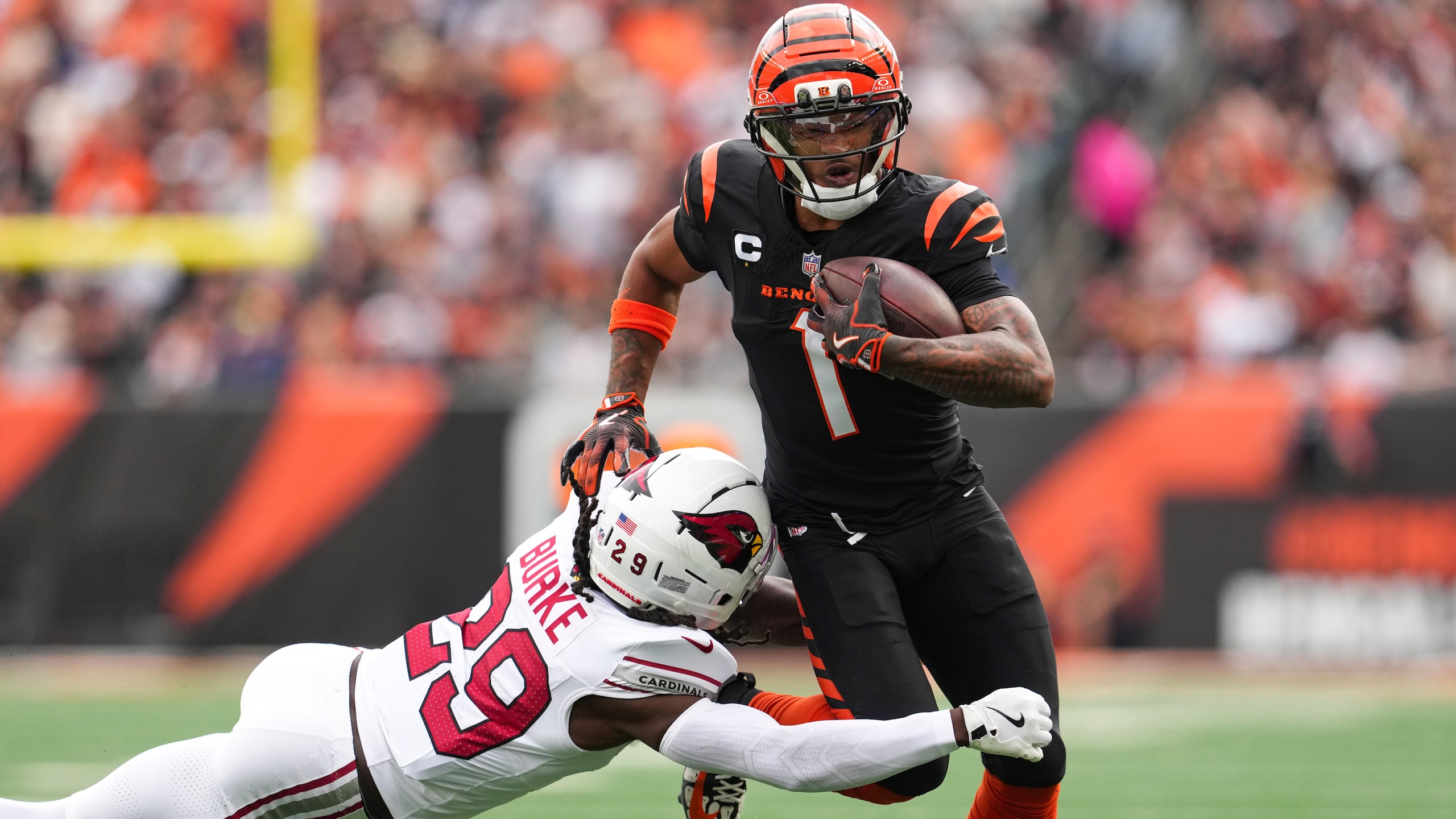 Cardinals Bengals Football