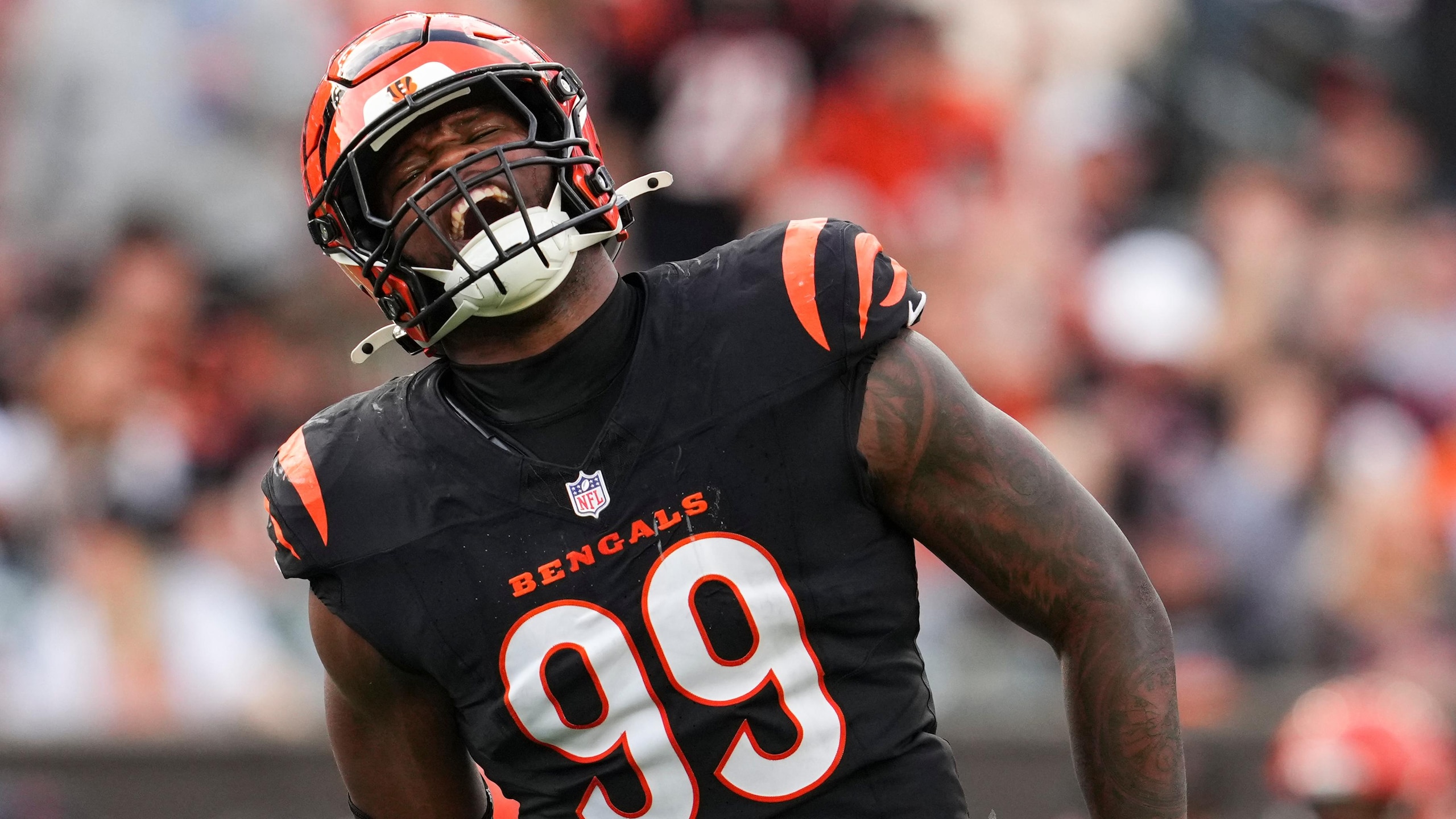 Cardinals Bengals Football