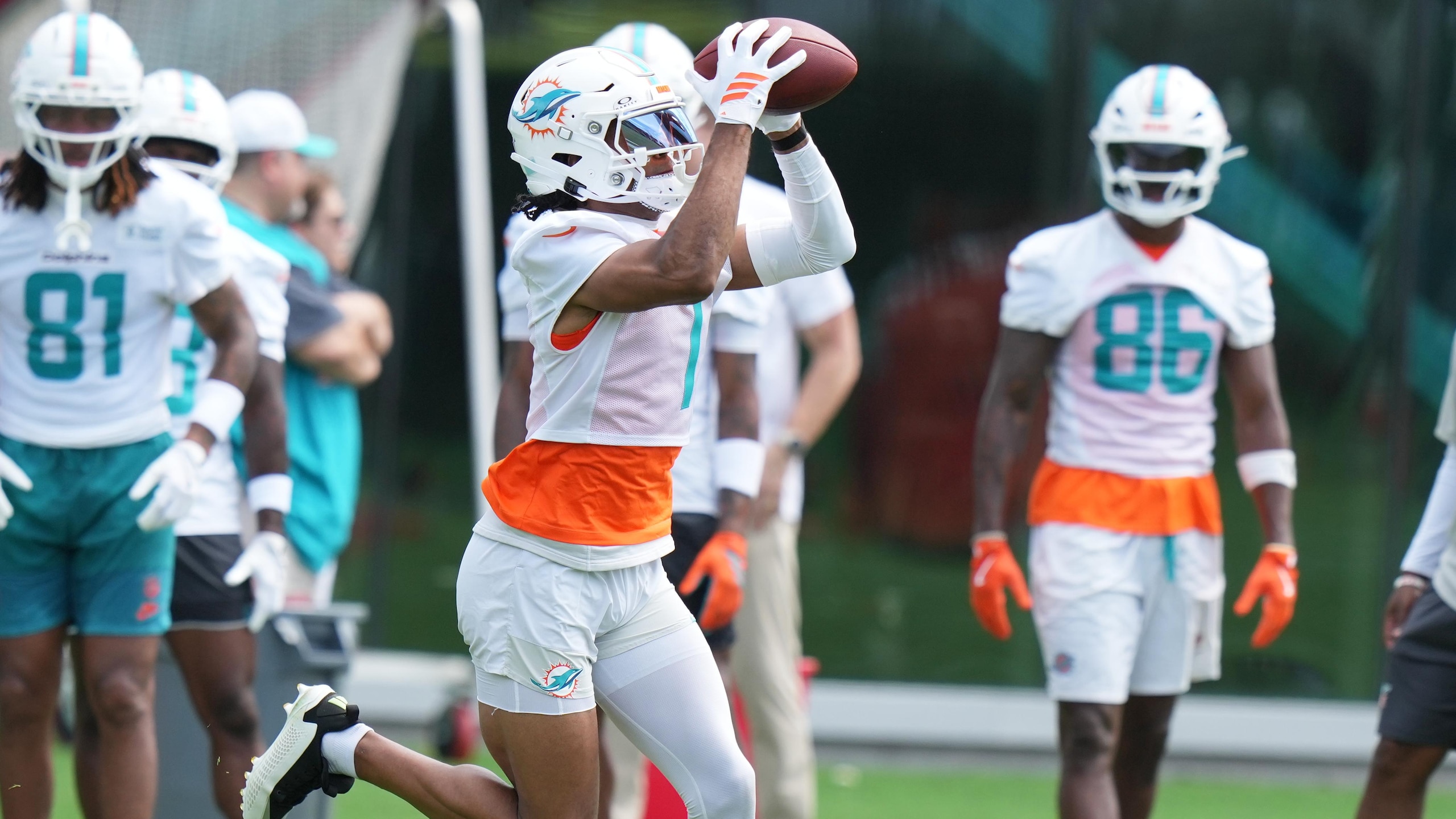 Dolphins Football