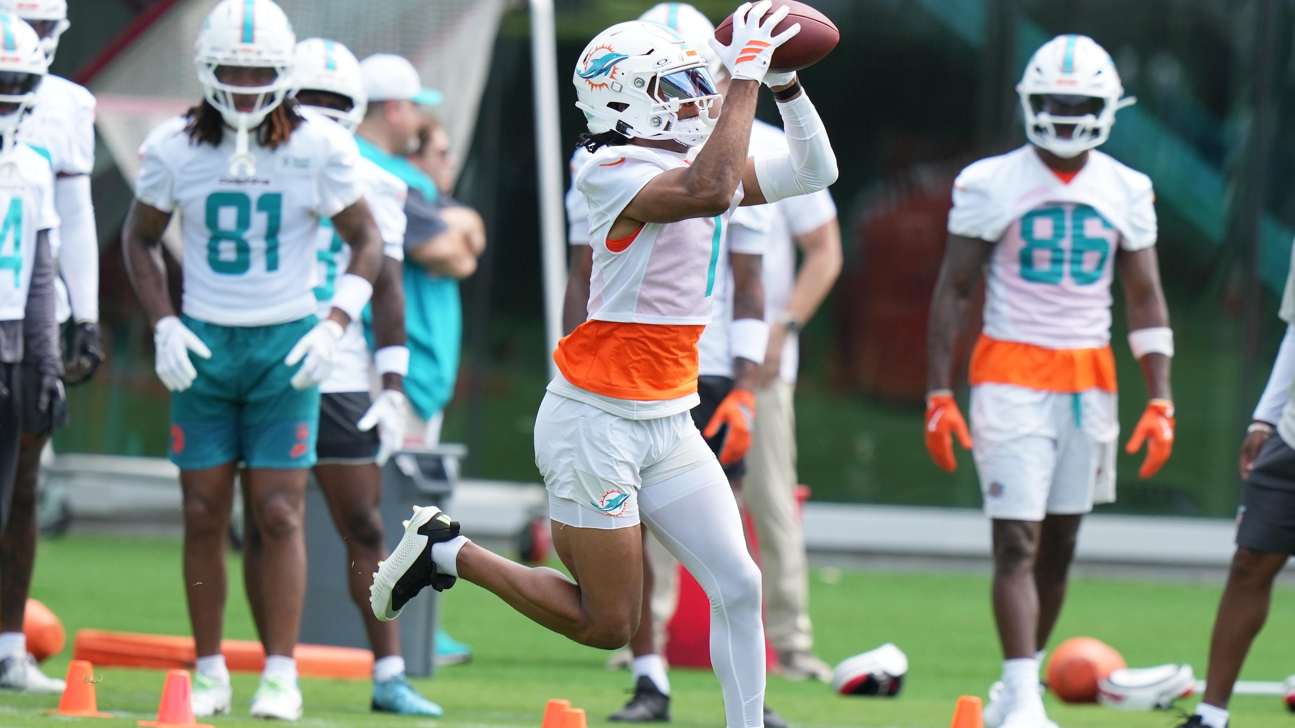 Dolphins Football