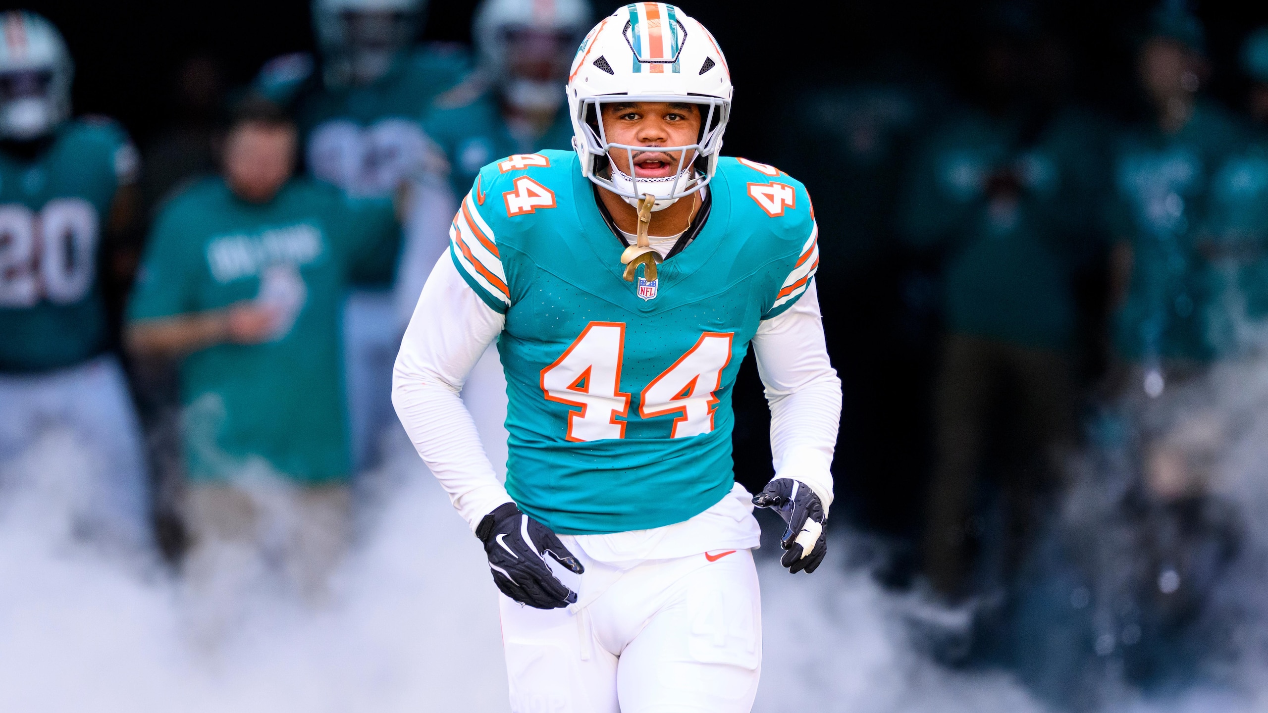 Bengals Dolphins Football