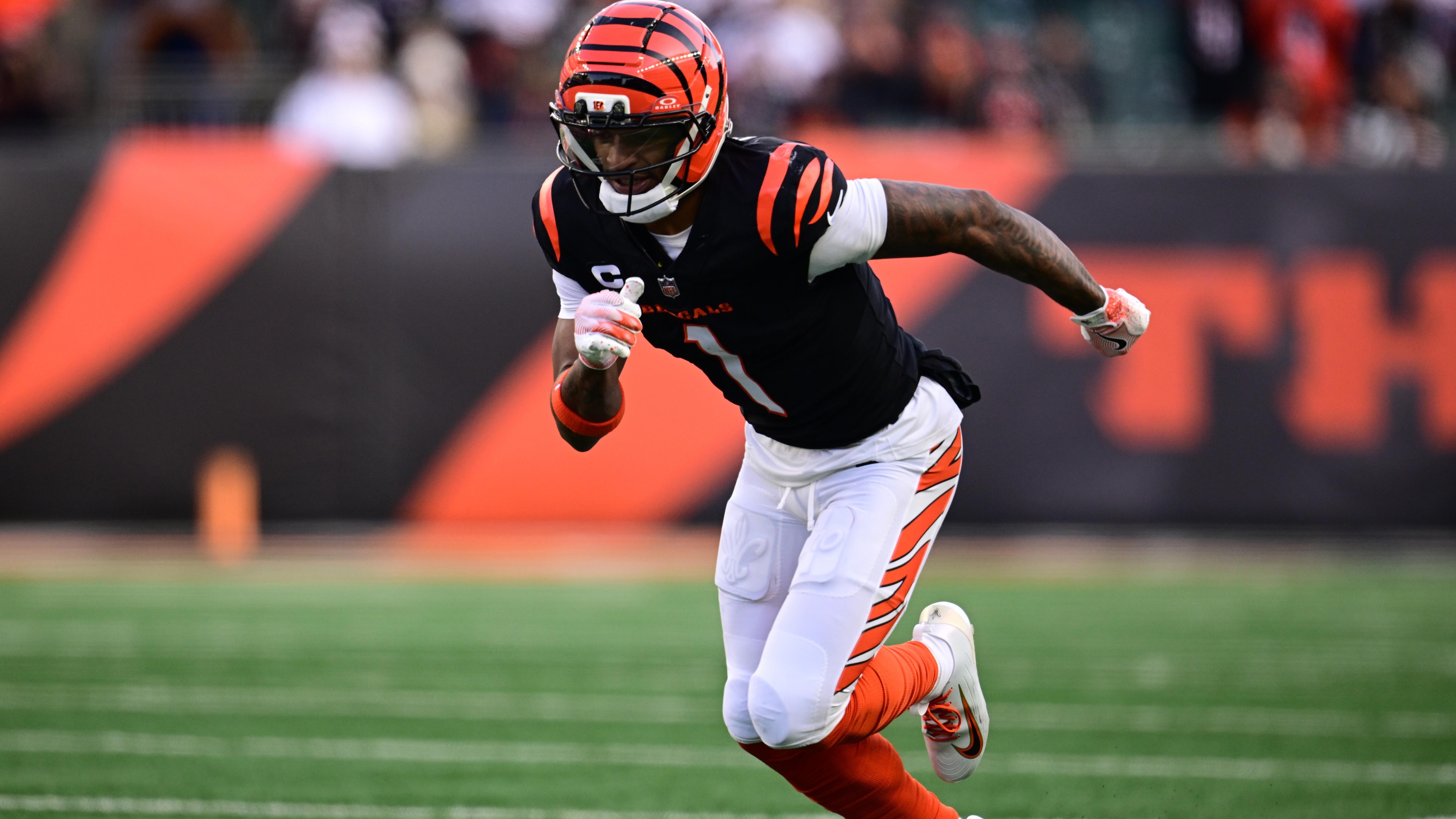 Browns Bengals Football