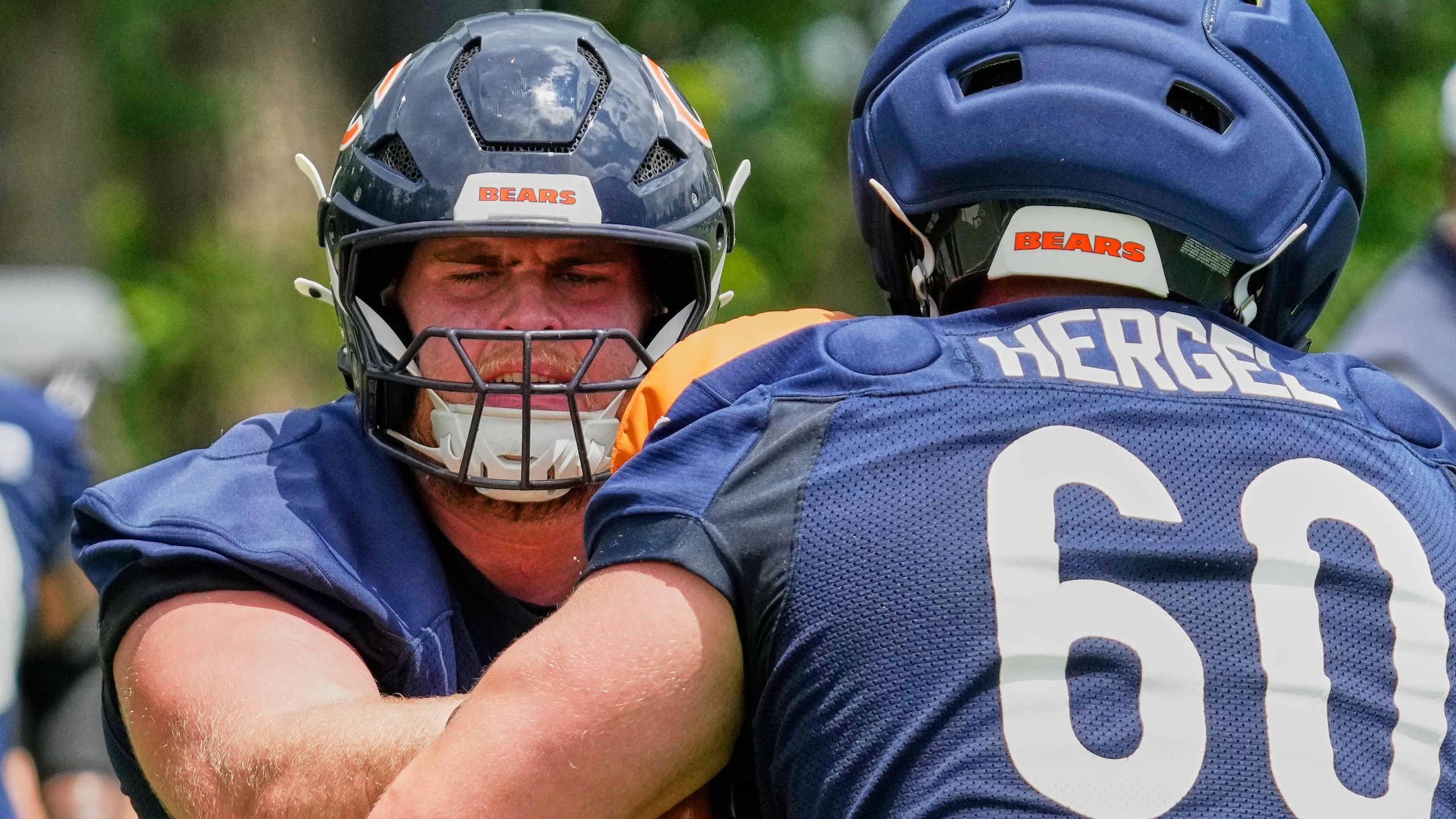 Bears Football