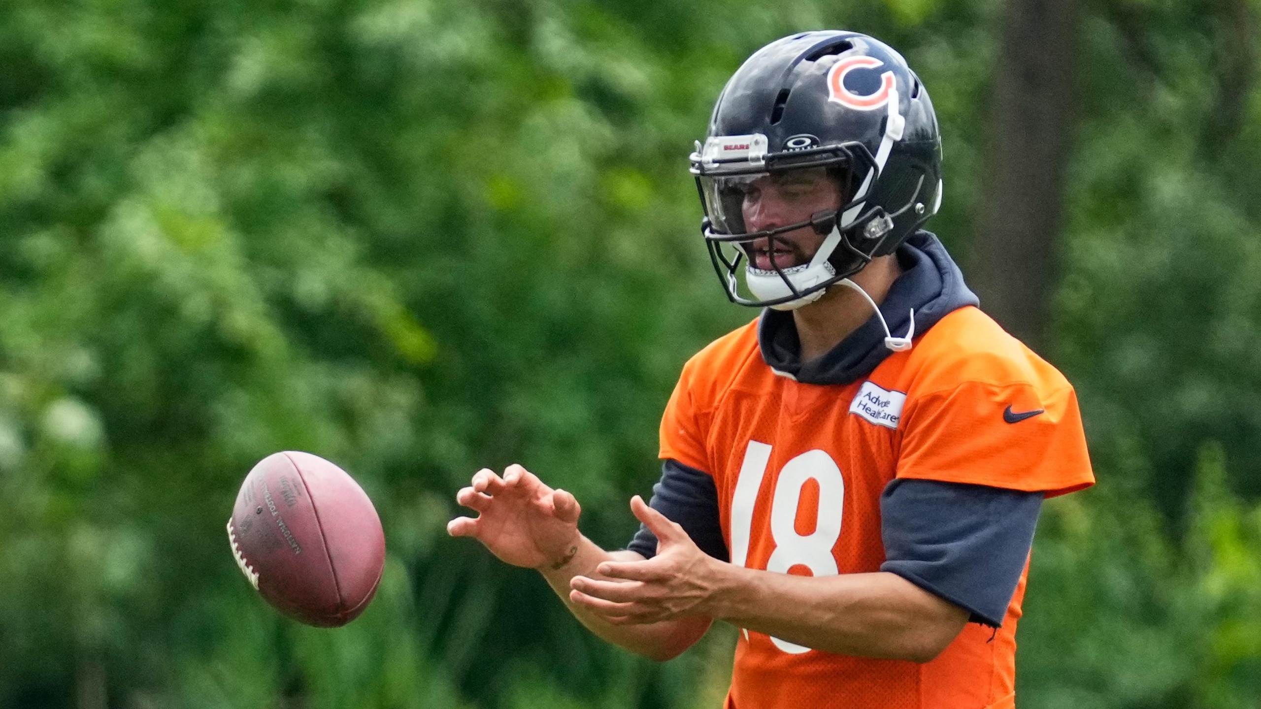Bears Football