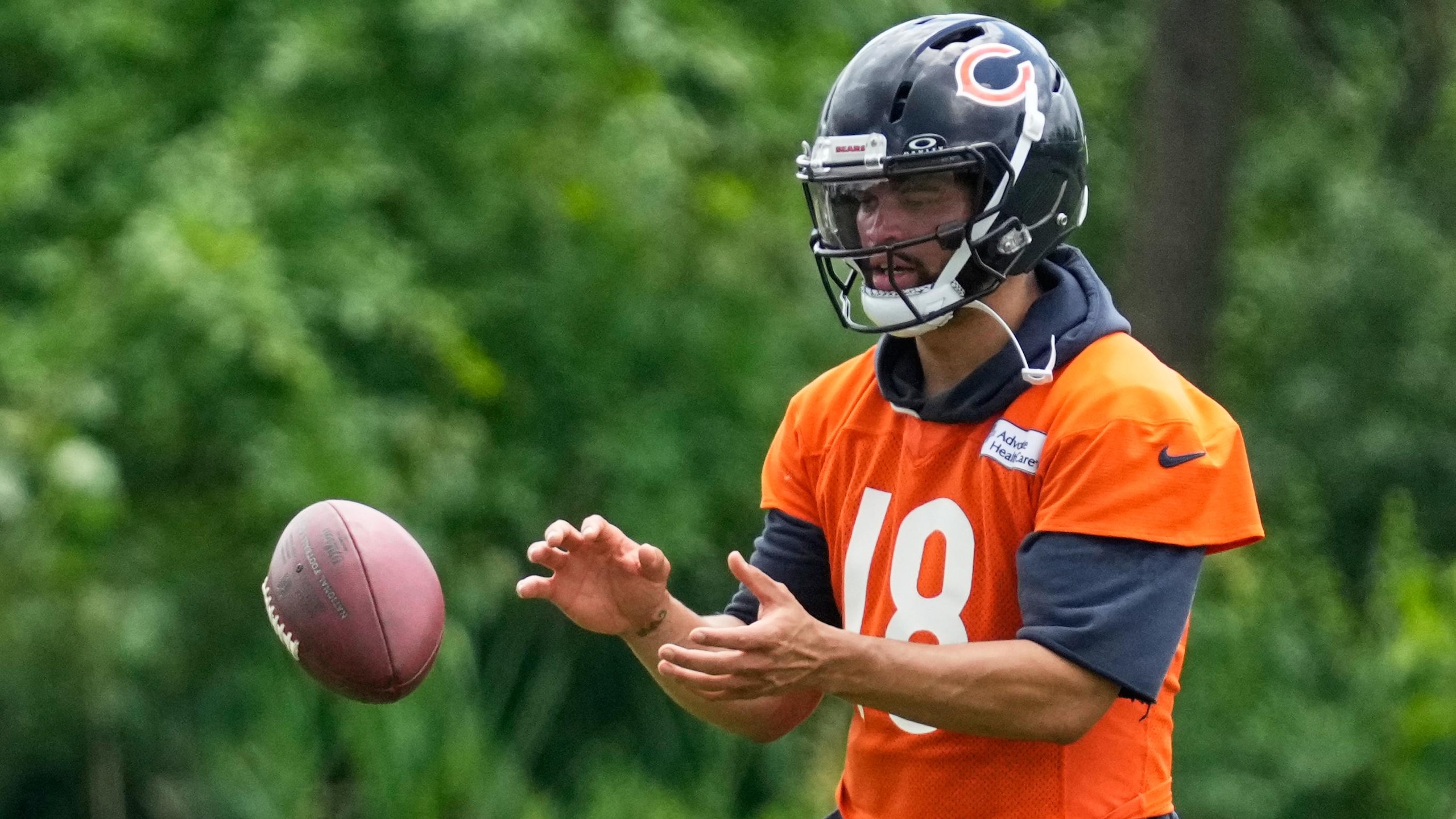 Bears Football