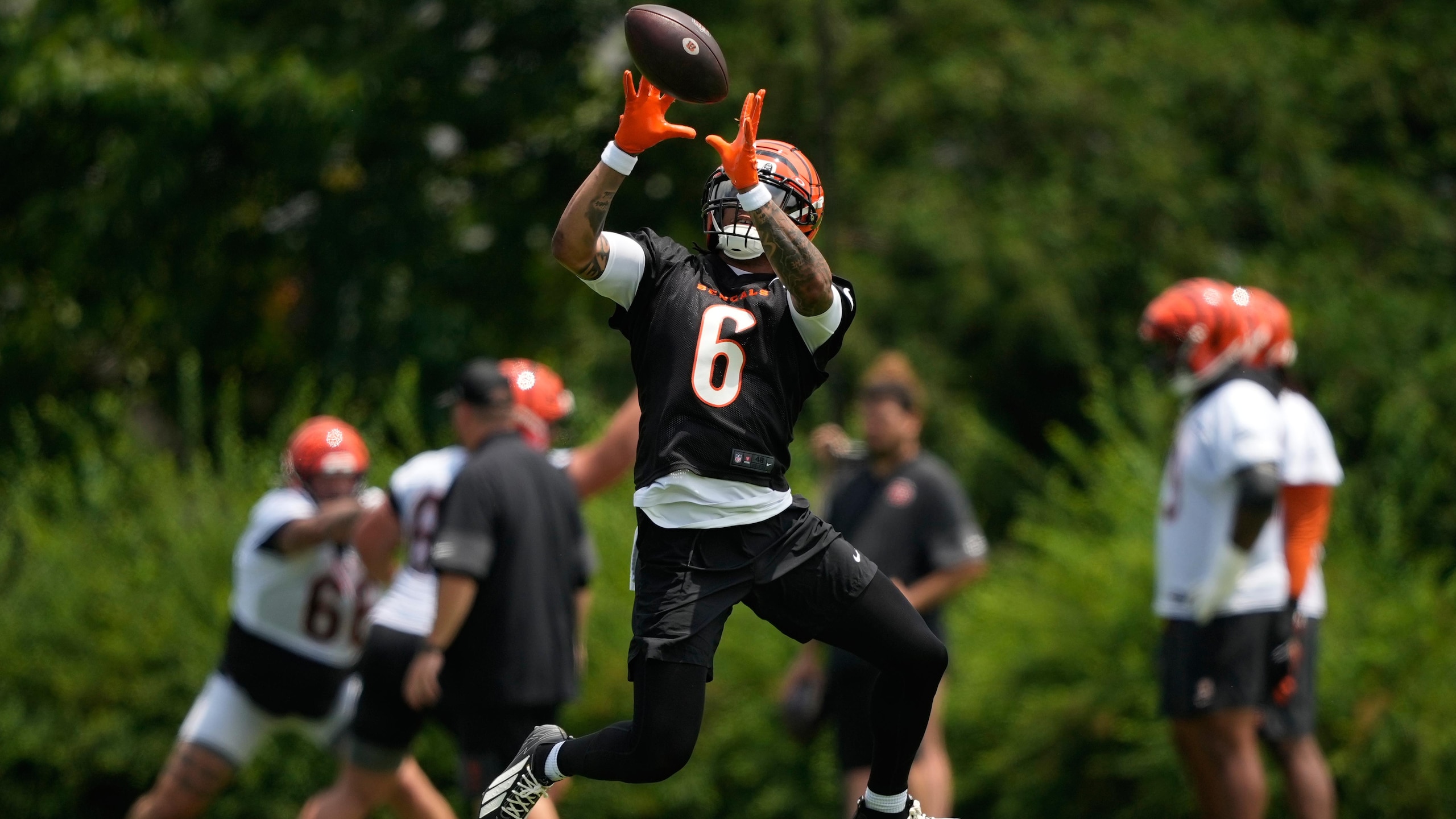 Bengals Football