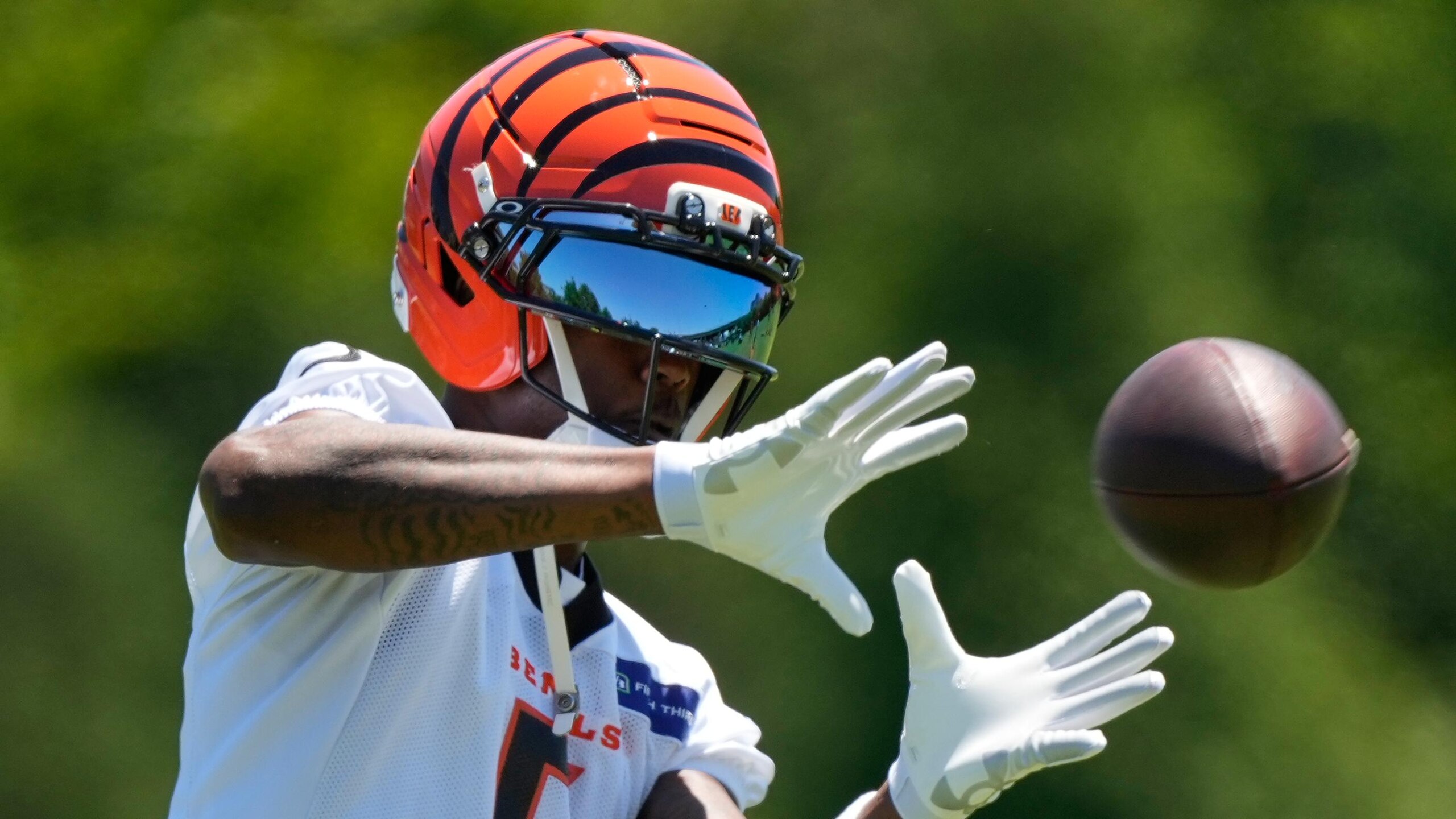 Bengals Football