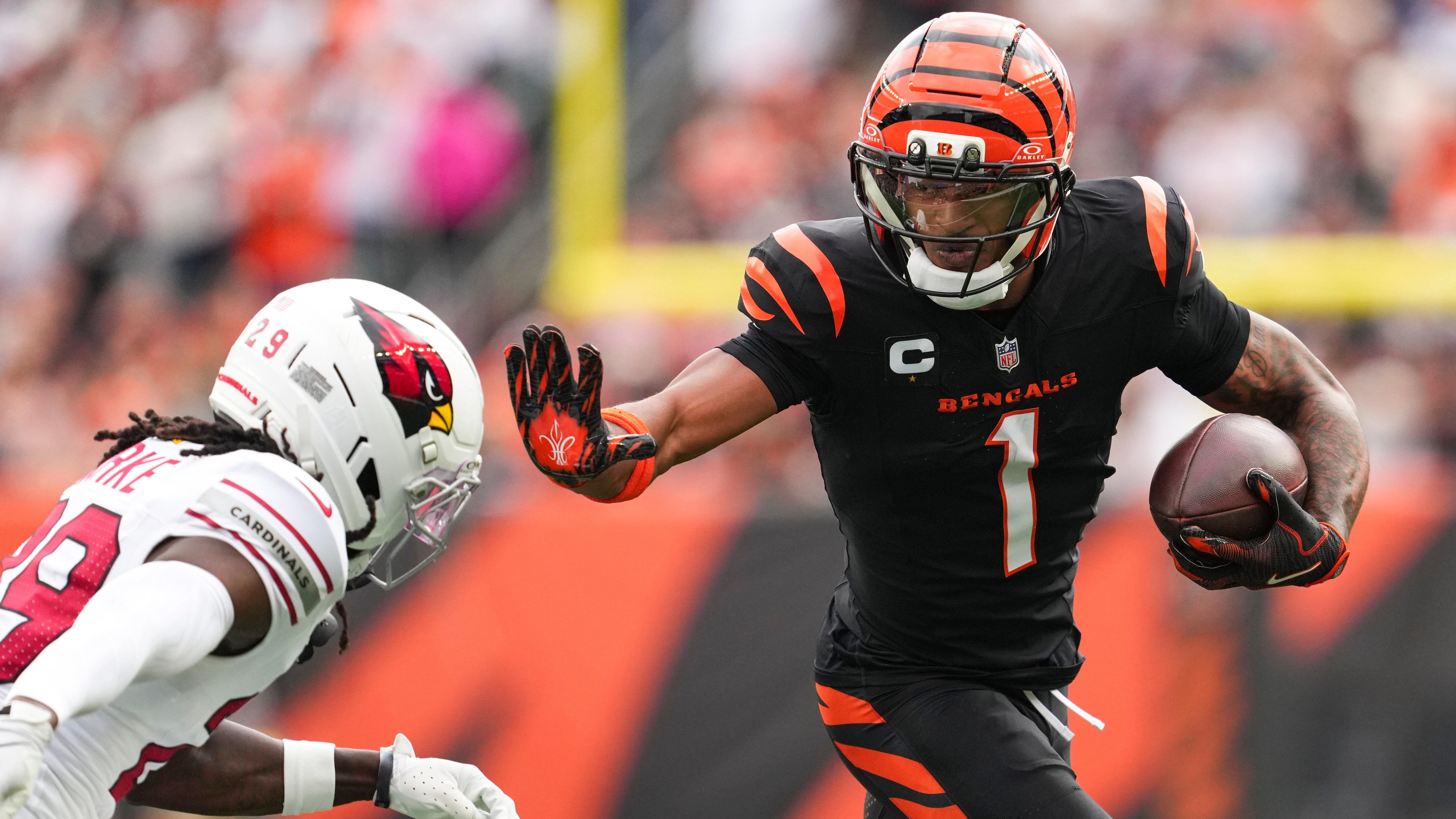 Cardinals Bengals Football