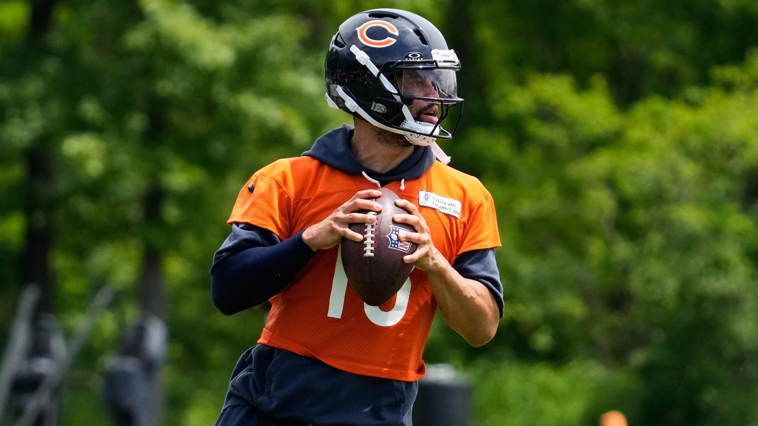 Bears Football
