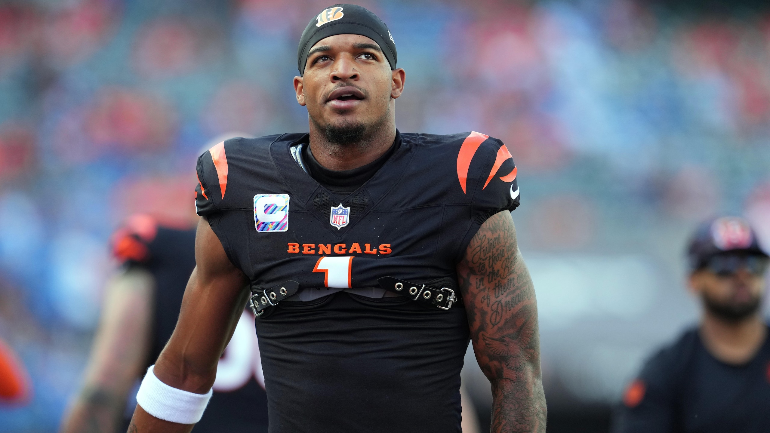 Lions Bengals Football