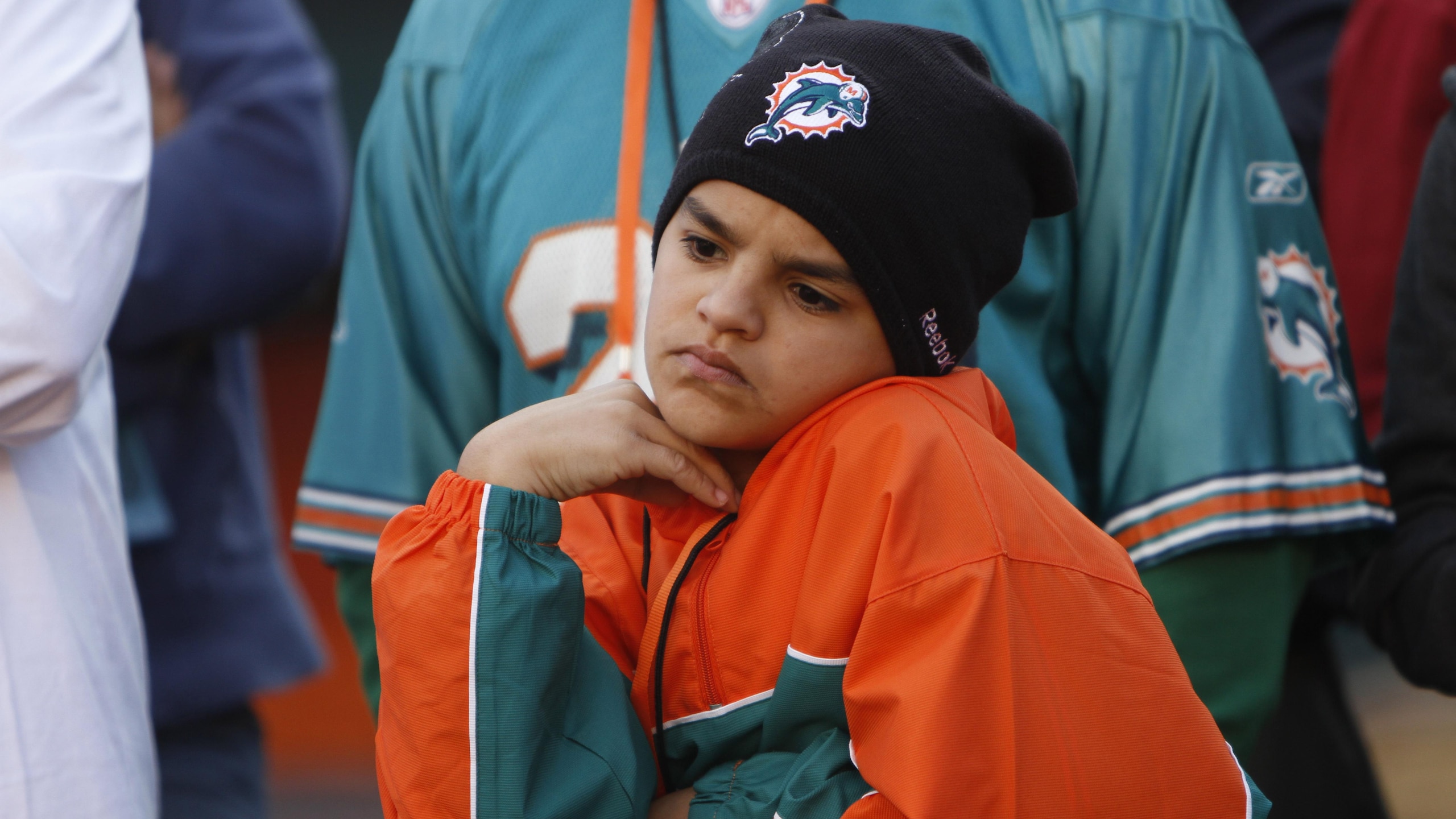 Lions Dolphins Football