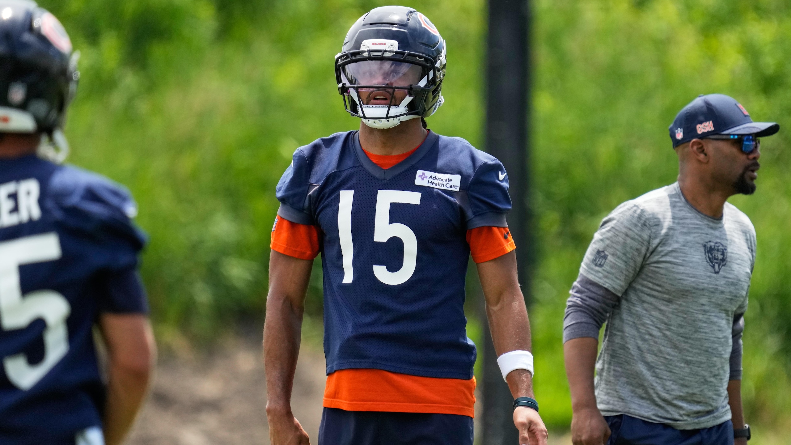 Bears Football