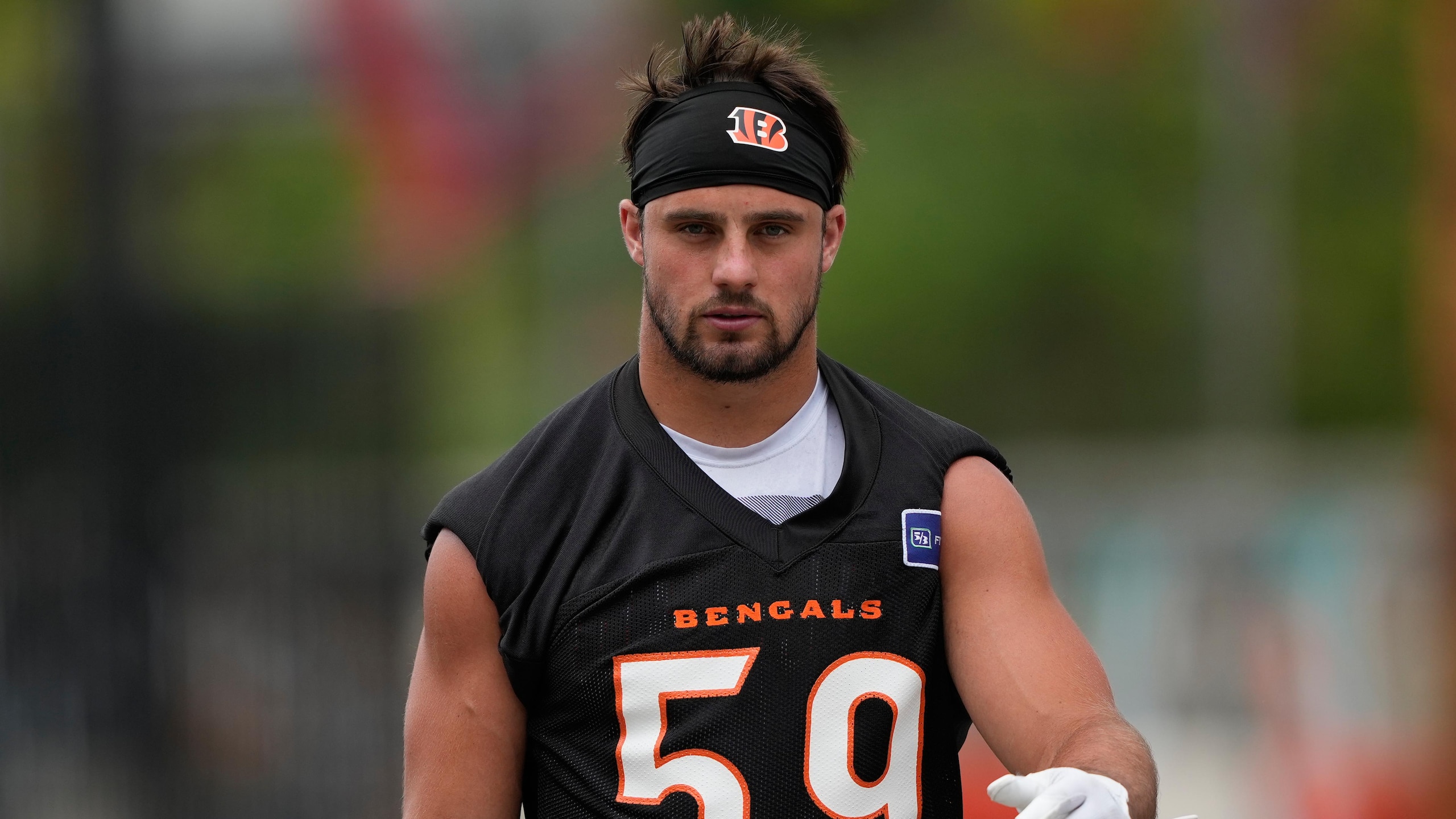 Bengals Football