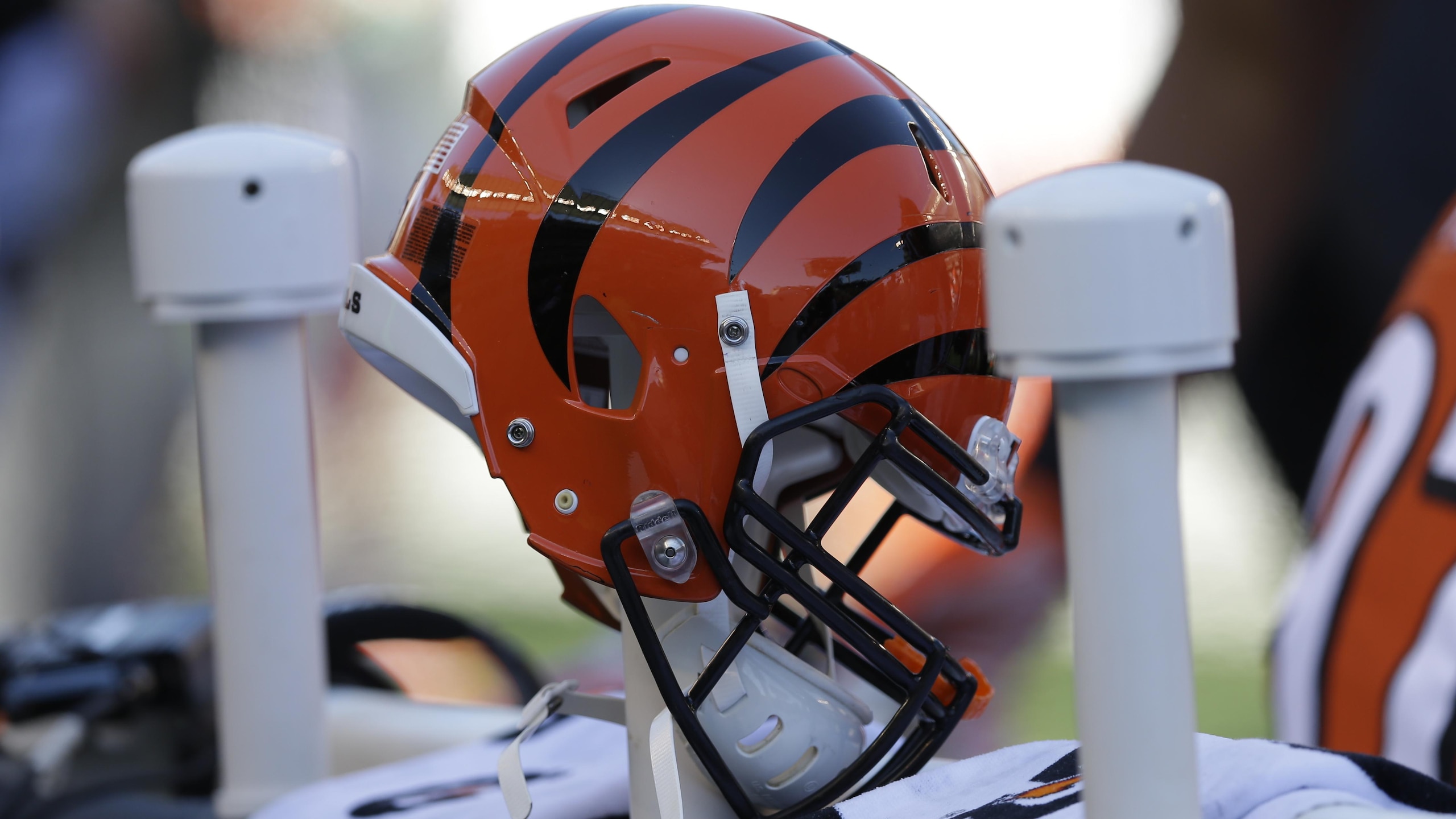 Jaguars Bengals Football