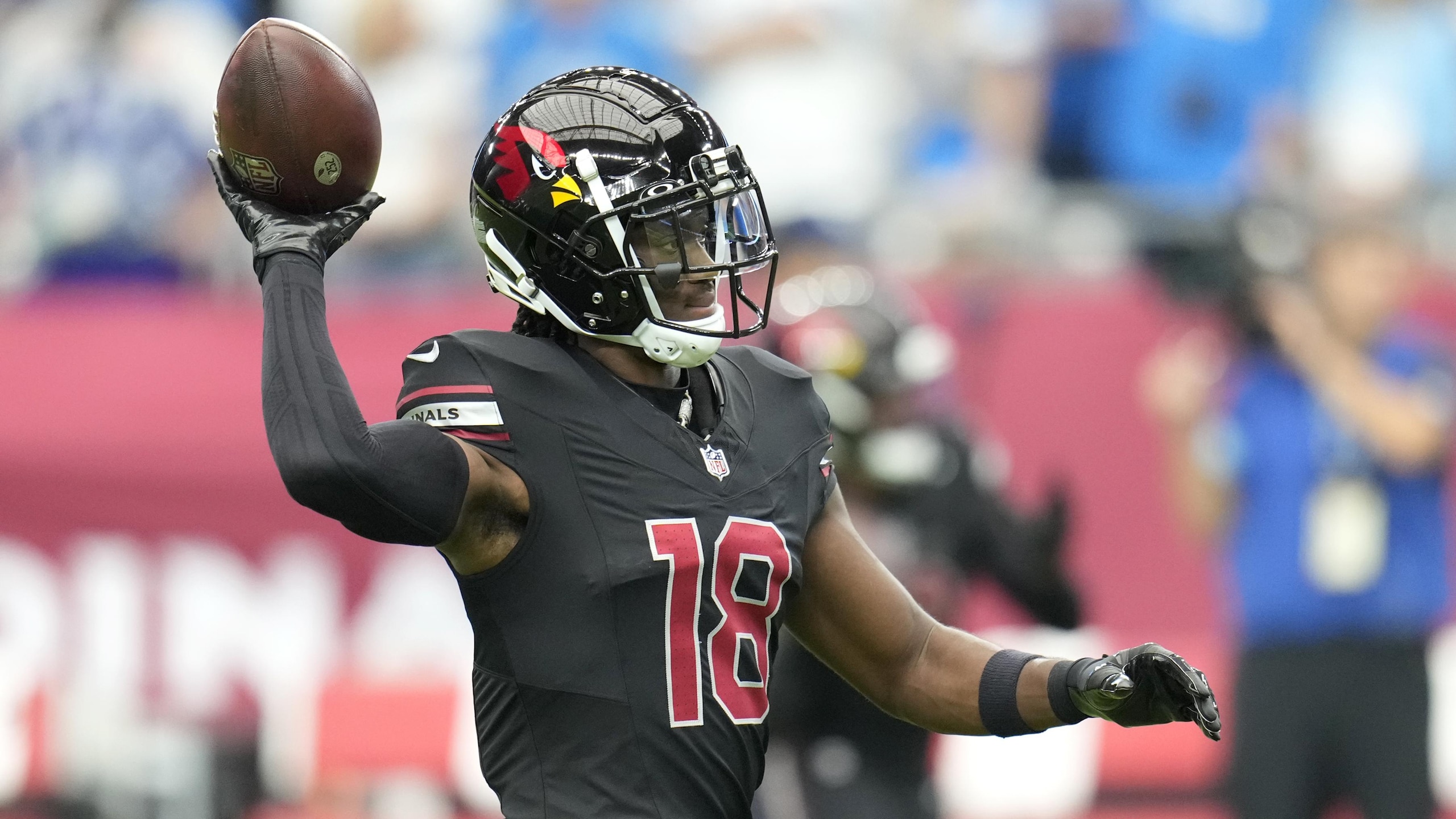 Cardinals Lions Football