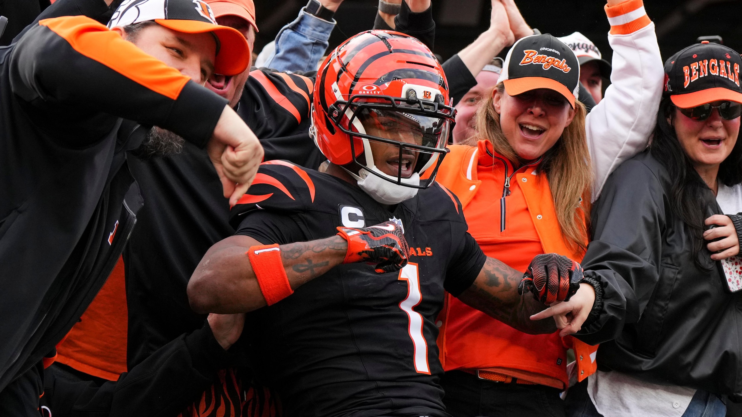 Cardinals Bengals Football