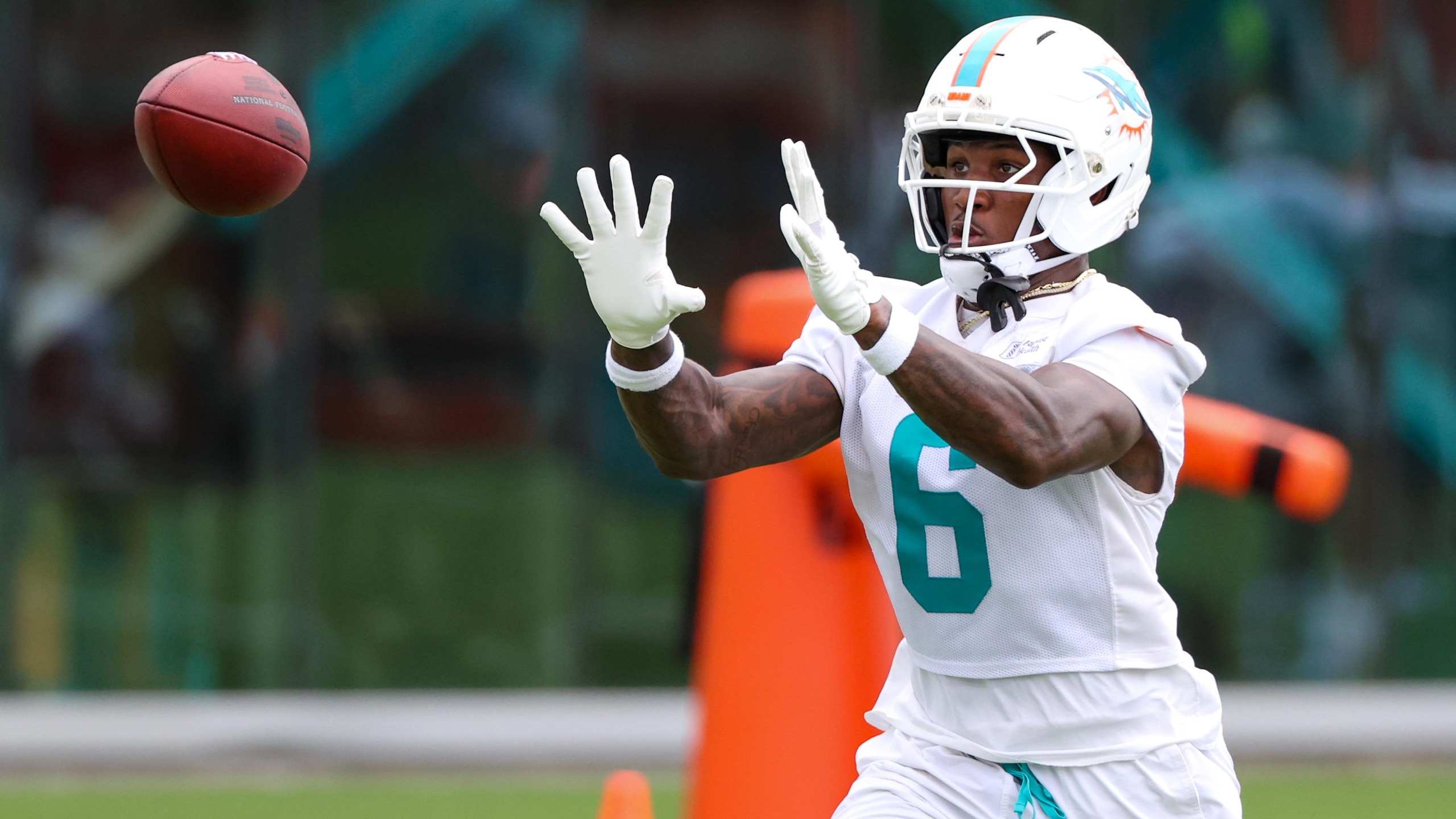 Dolphins Camp Football