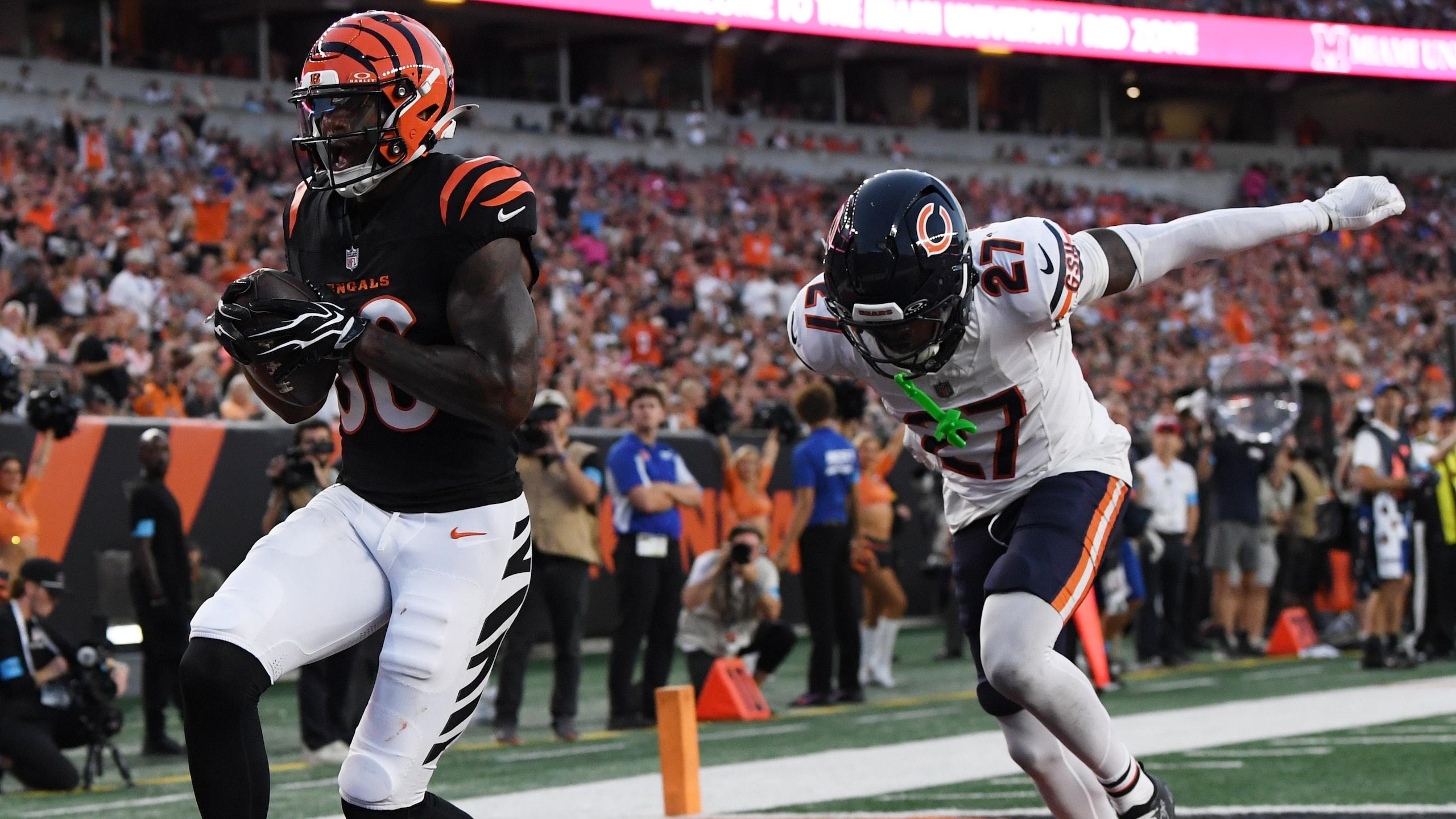 Bears Bengals Football