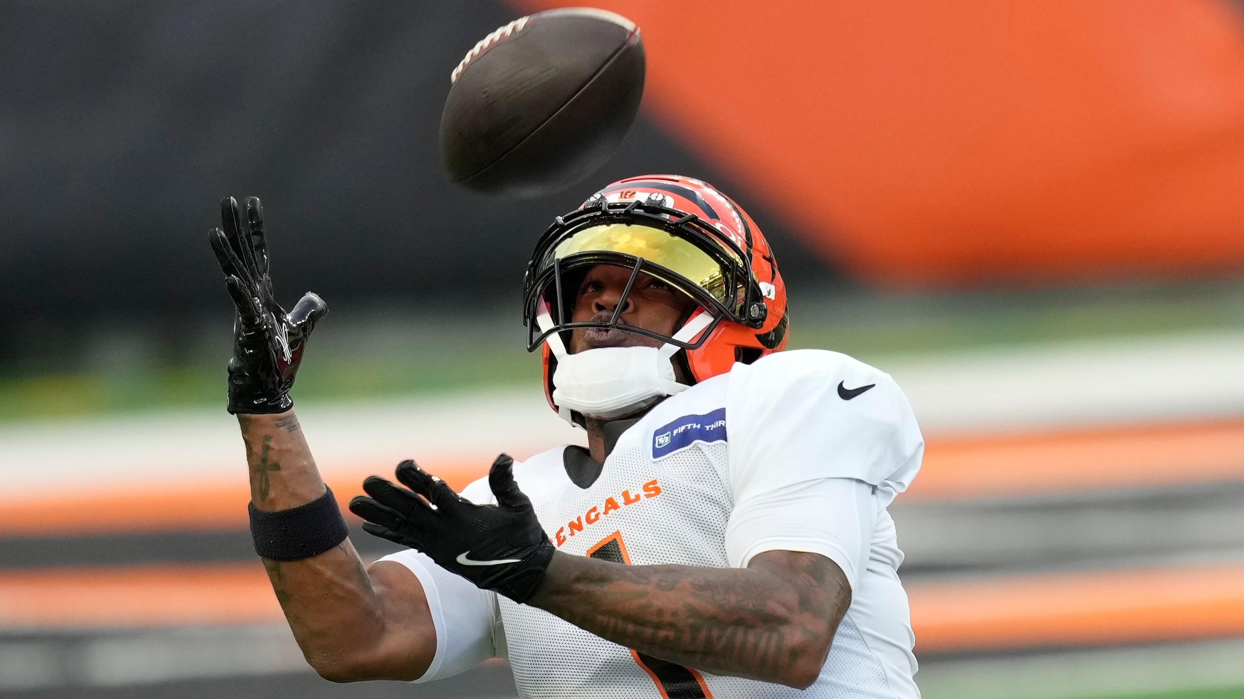 Bengals Football