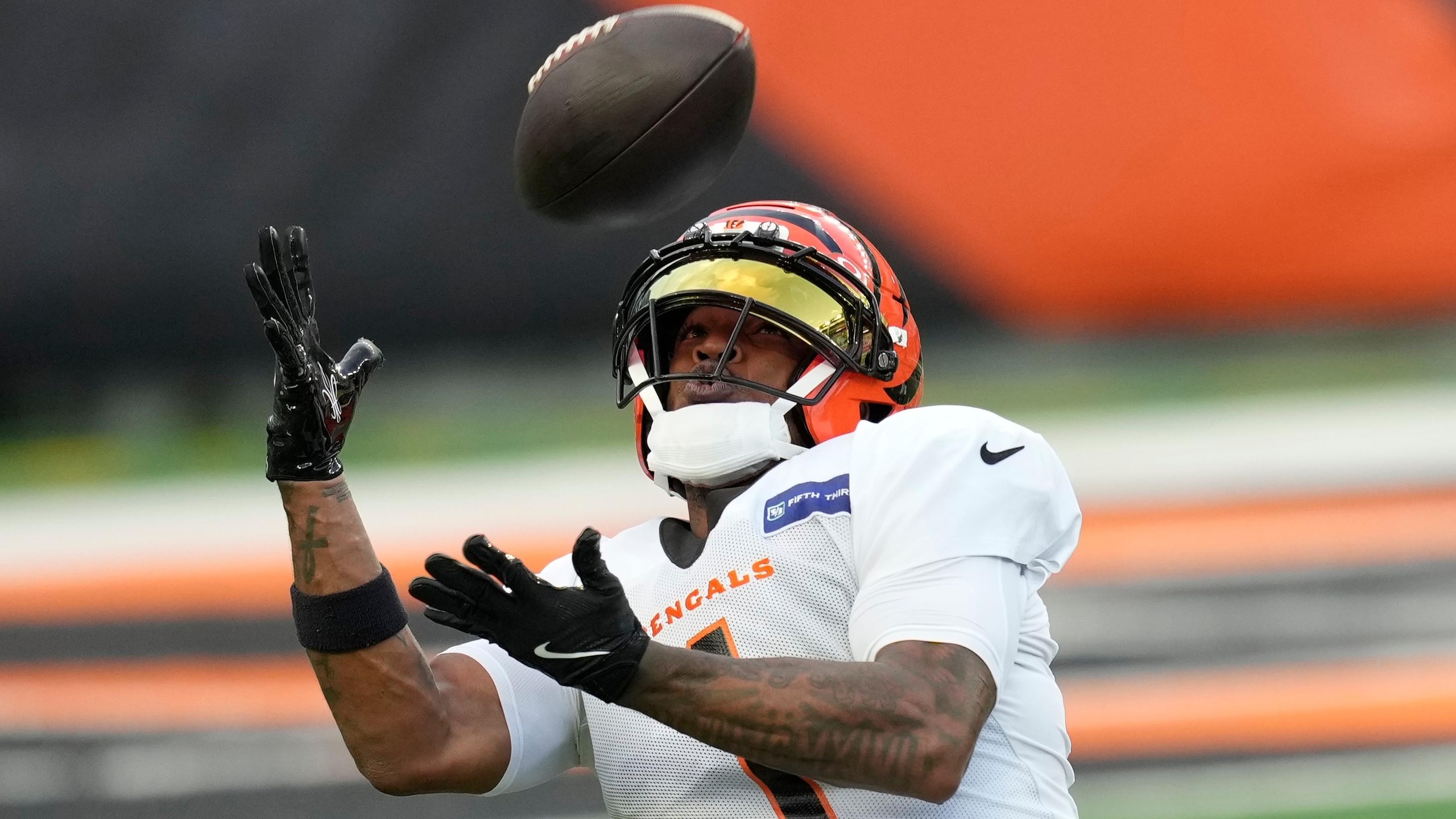 Bengals Football