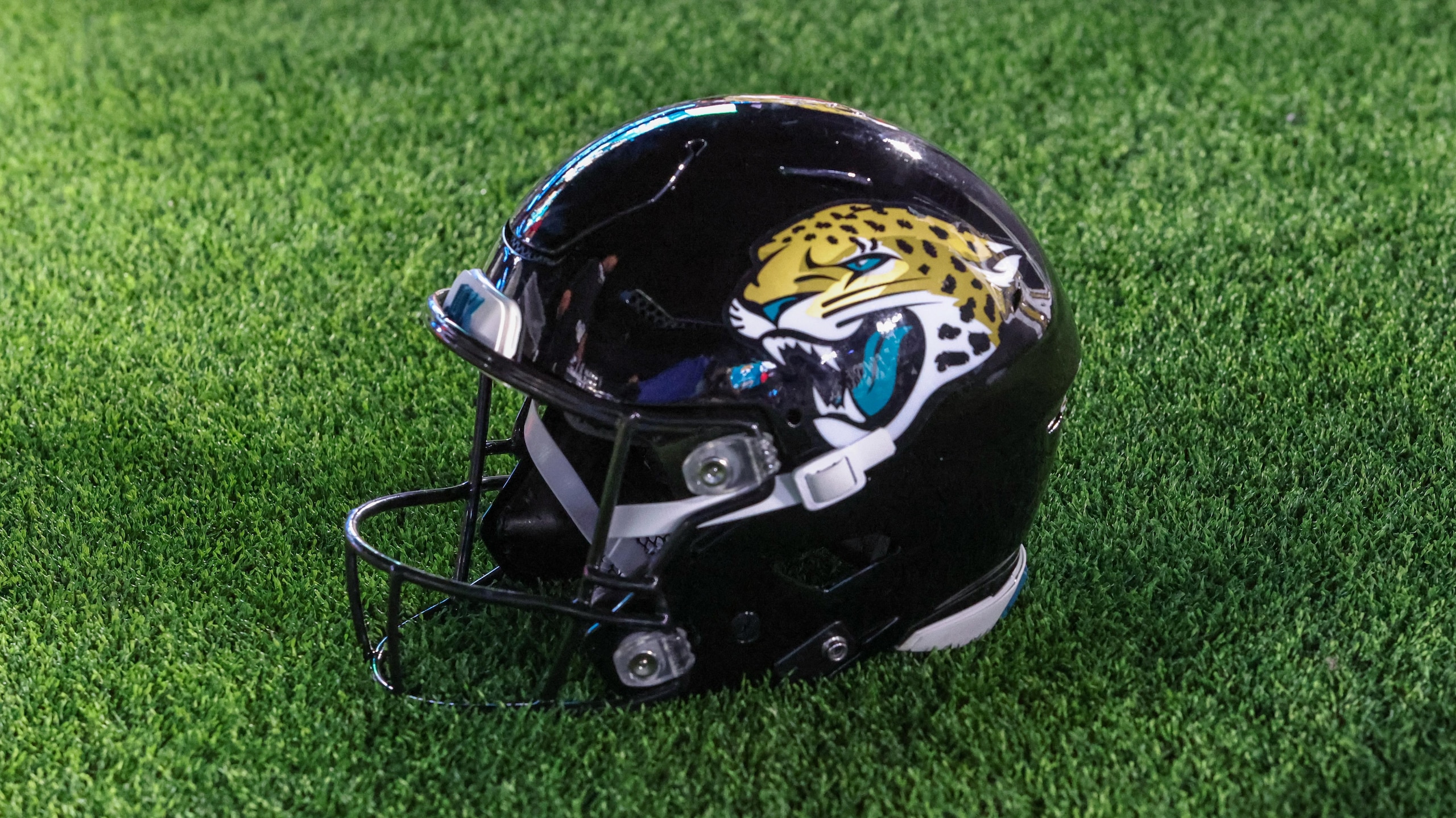 Panthers Jaguars Football
