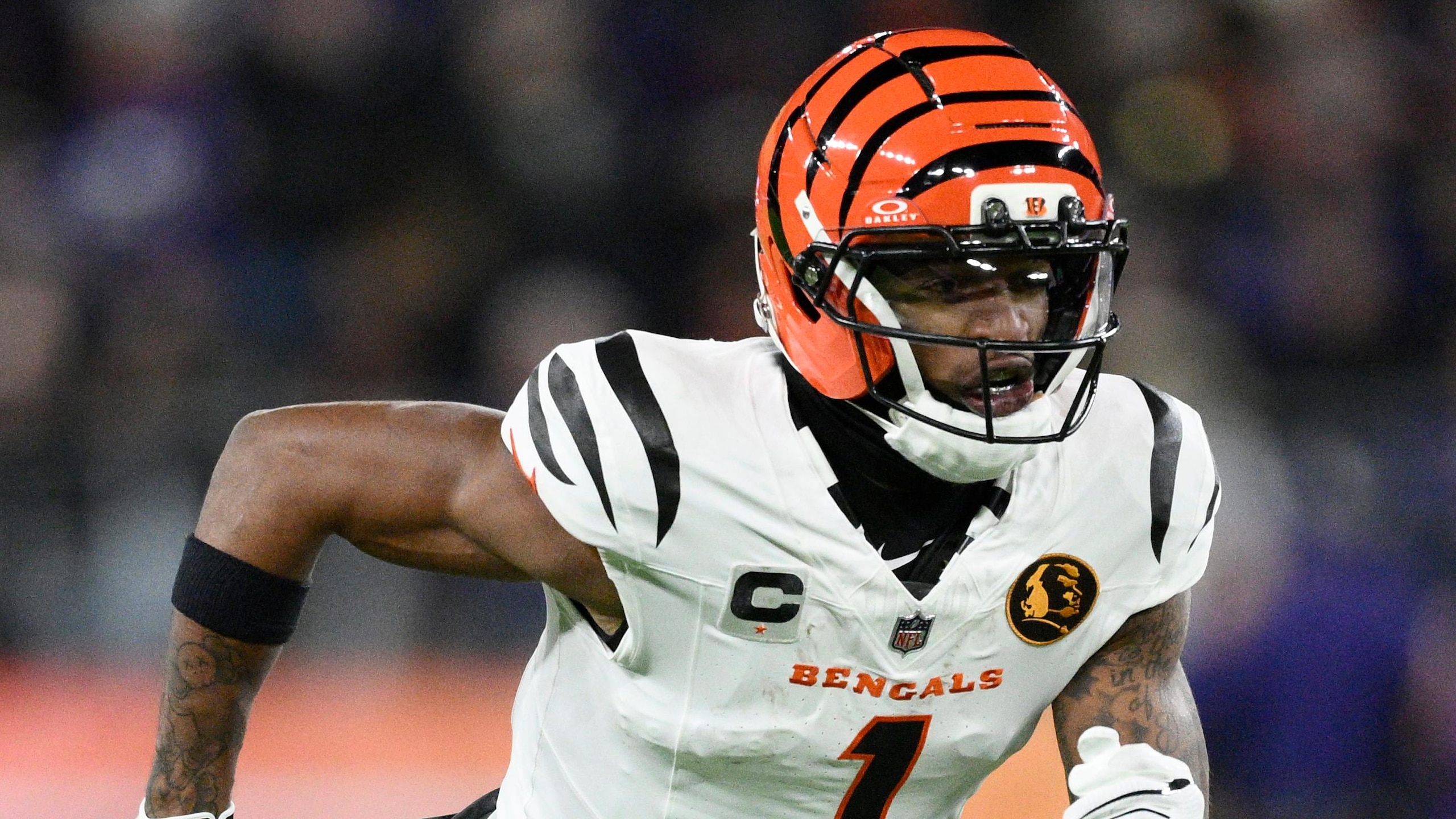 Bengals Ravens Football