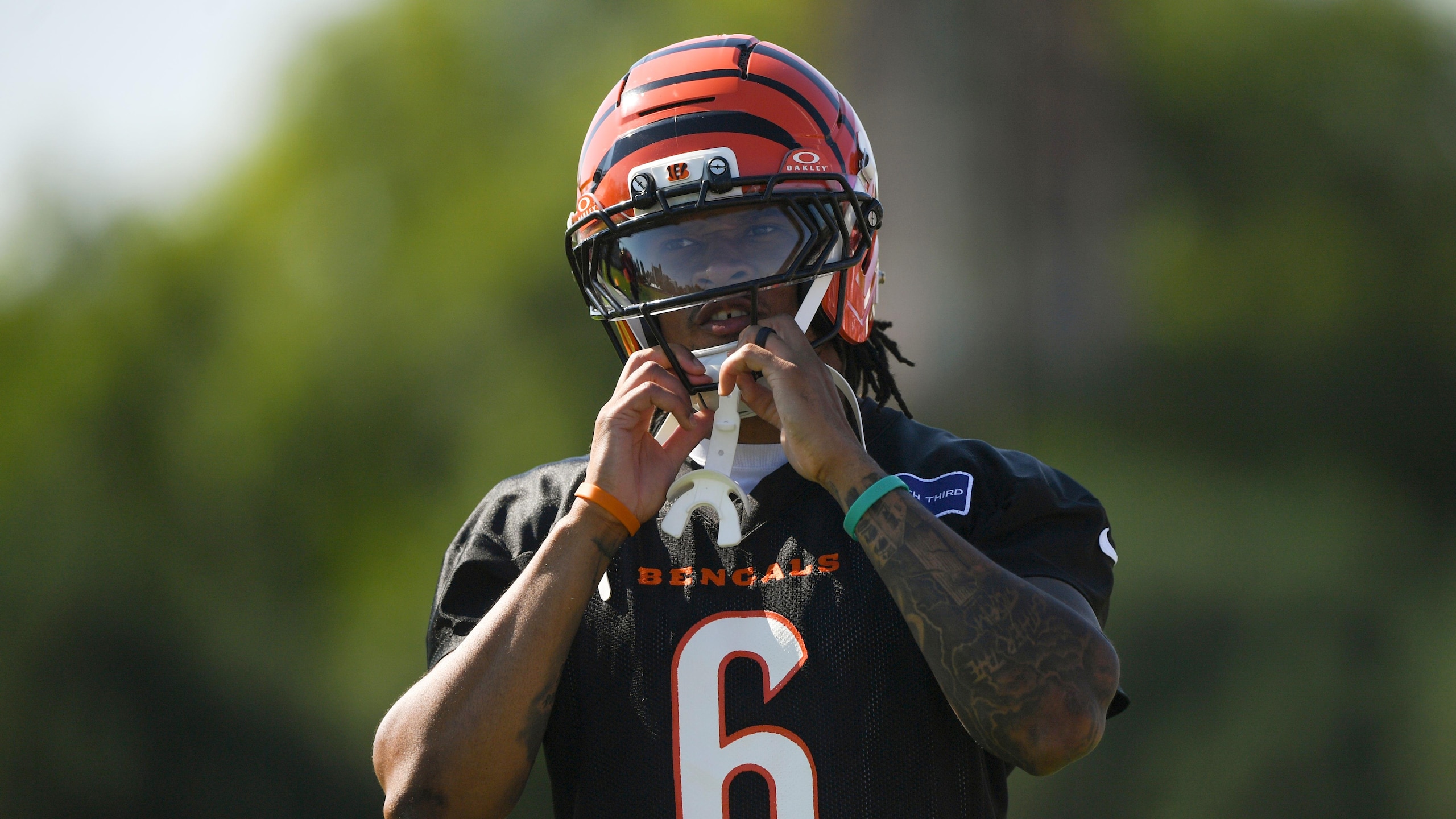 Bengals Camp Football