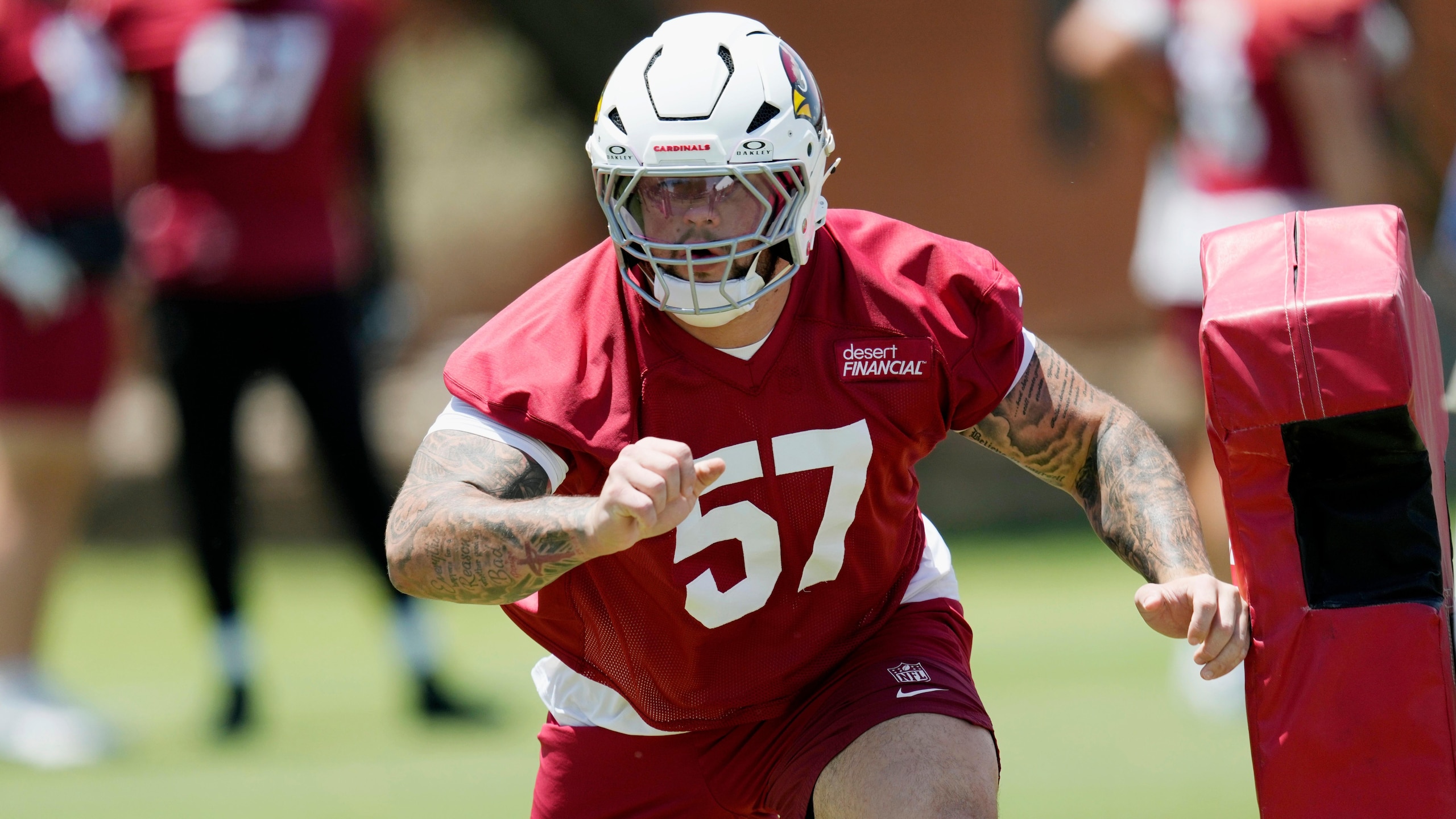 Cardinals Football