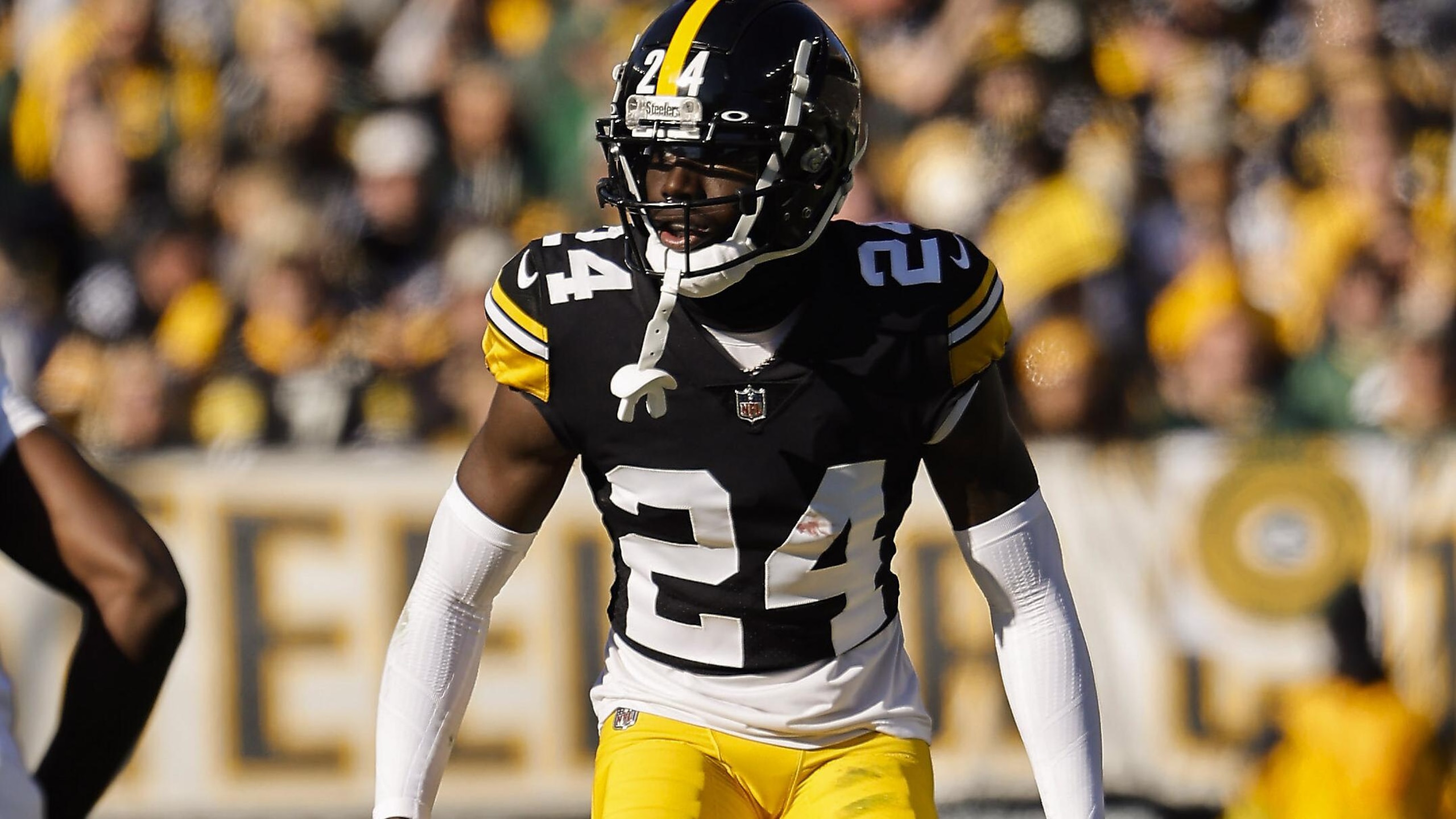 Packers Steelers Football