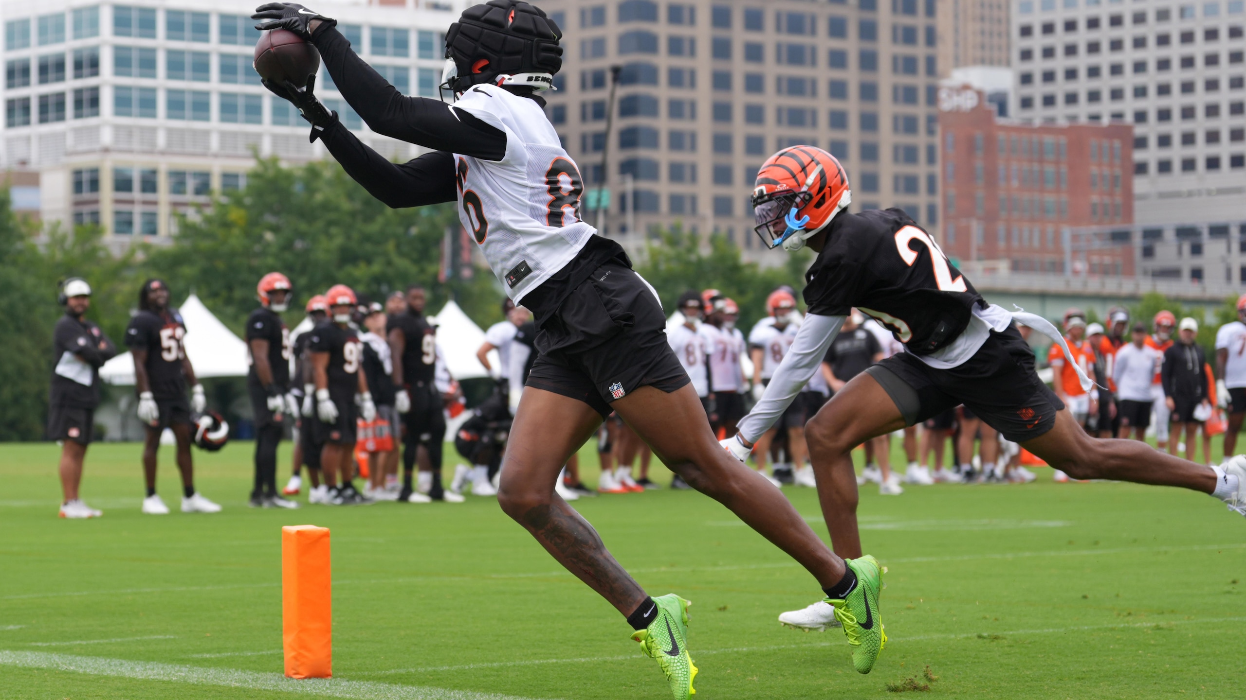 Bengals Camp Football