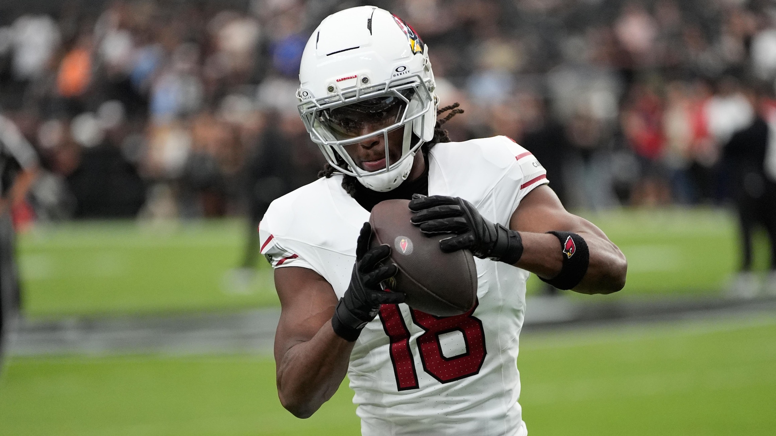 Cardinals Raiders Football