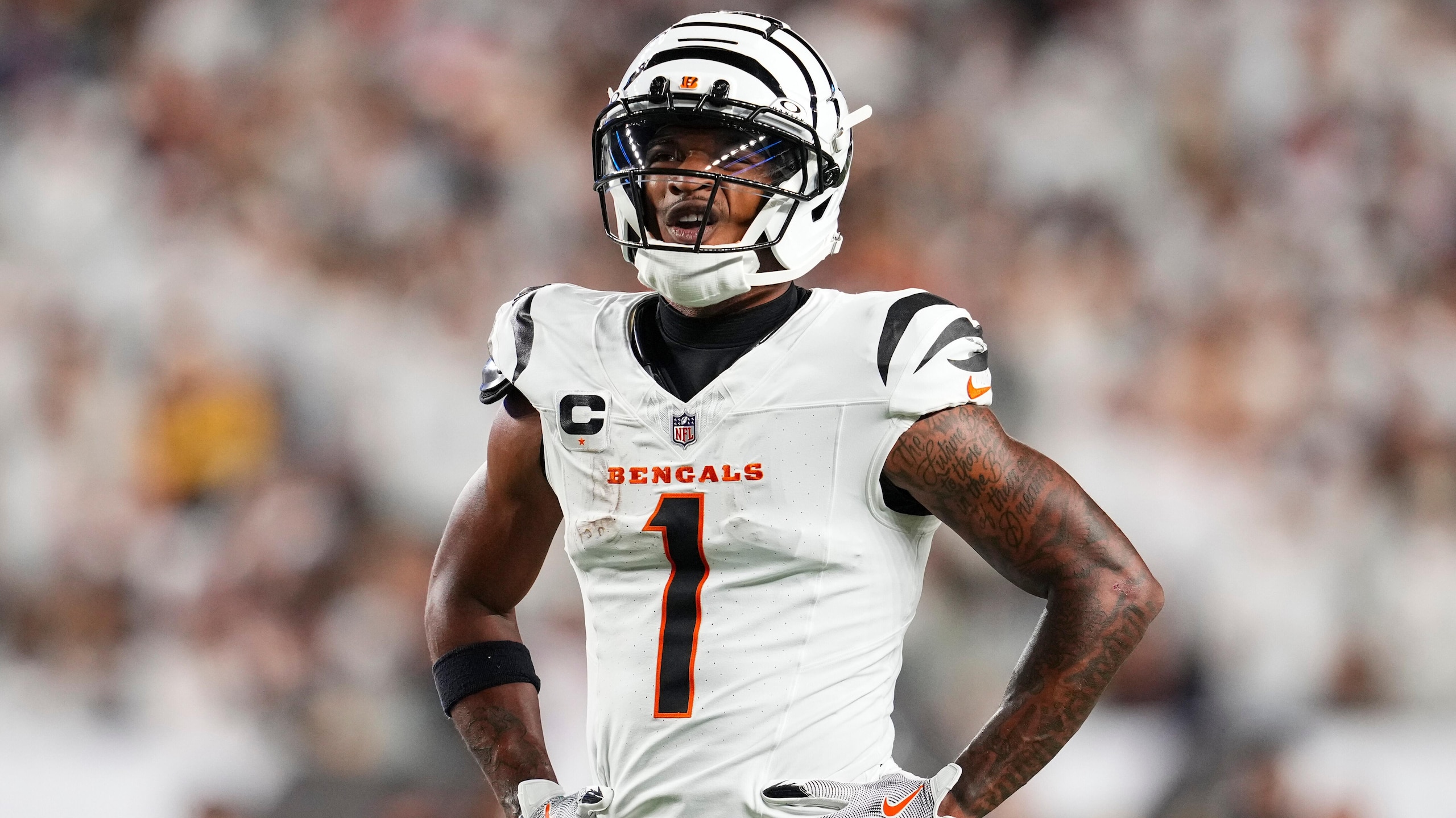 Steelers Bengals Football