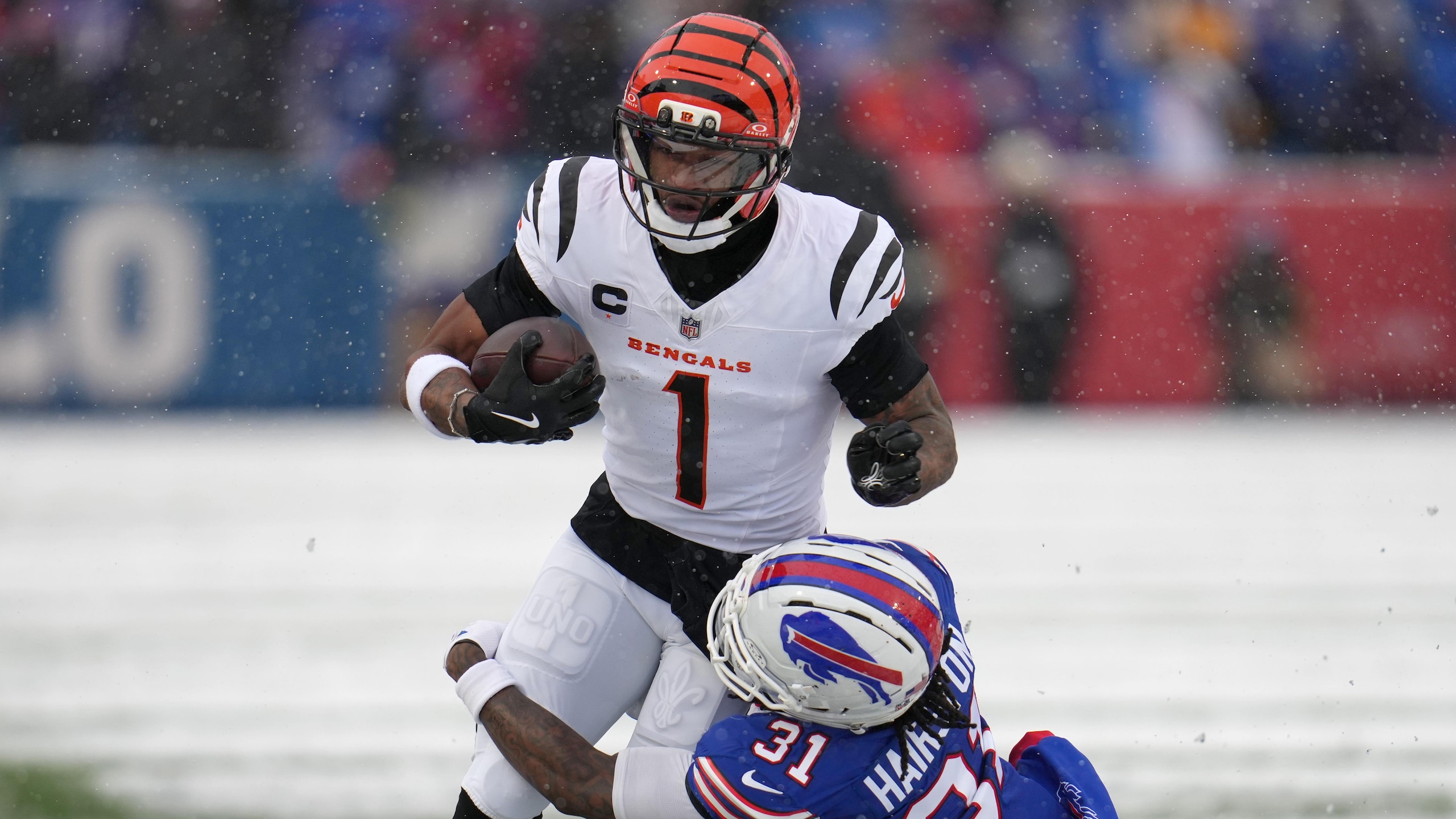 Bengals Bills Football