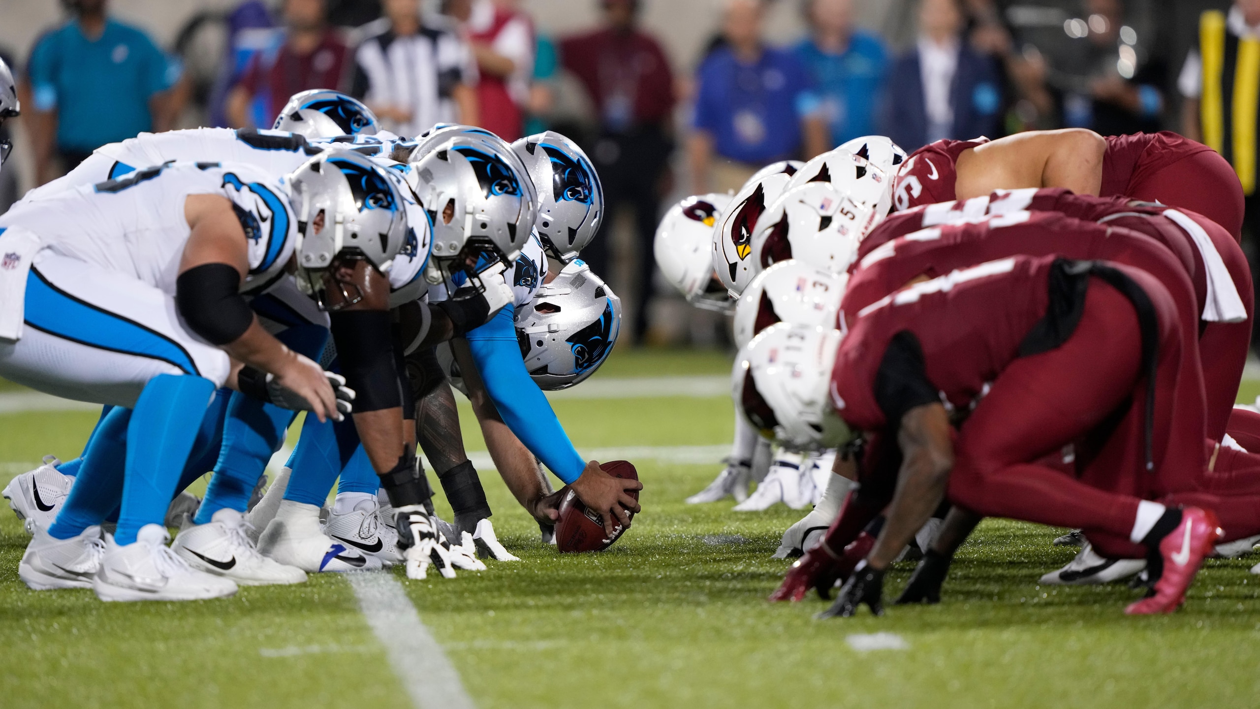 Panthers Cardinals Football