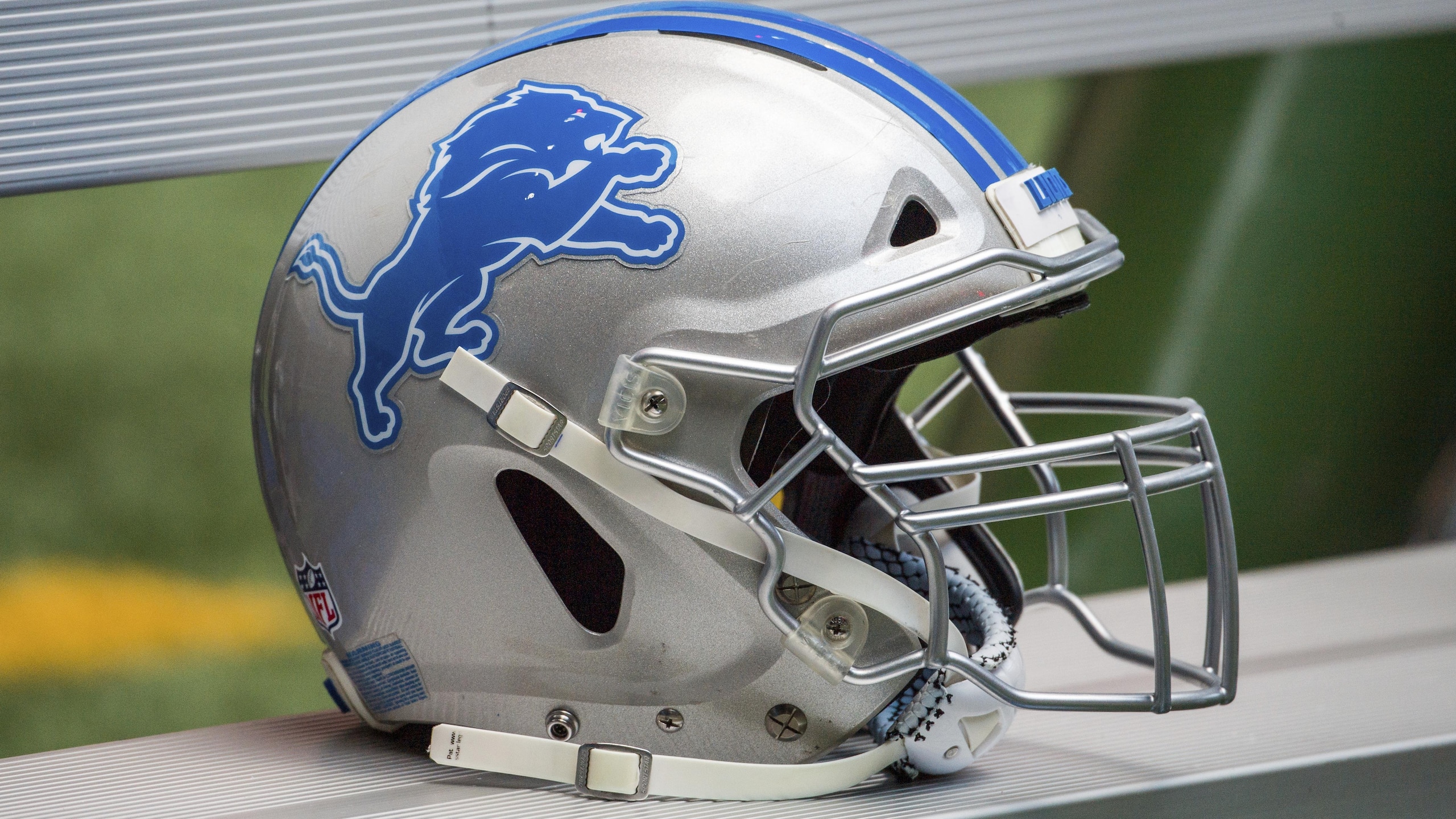 Lions Falcons Football
