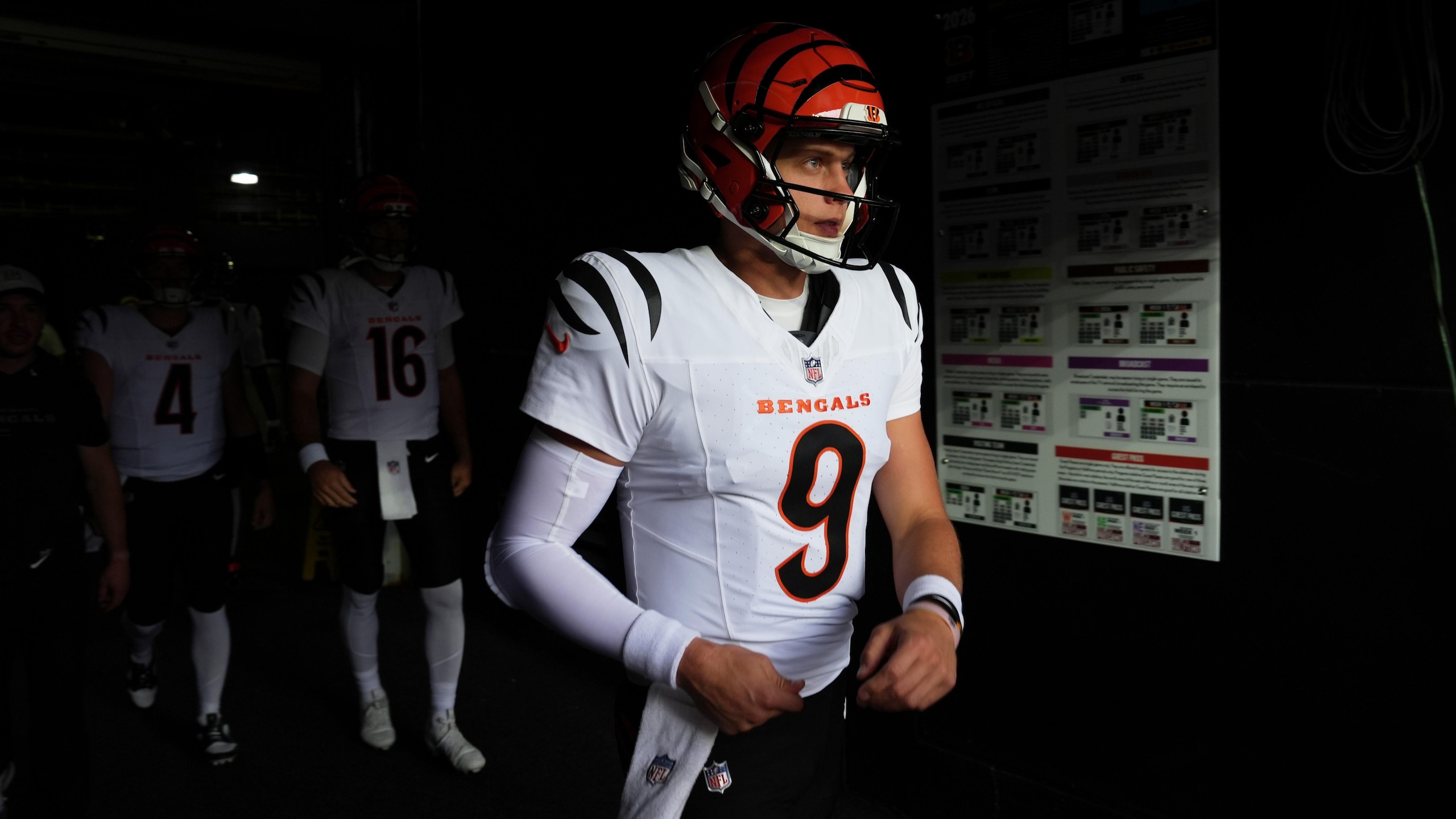 Lions Bengals Football