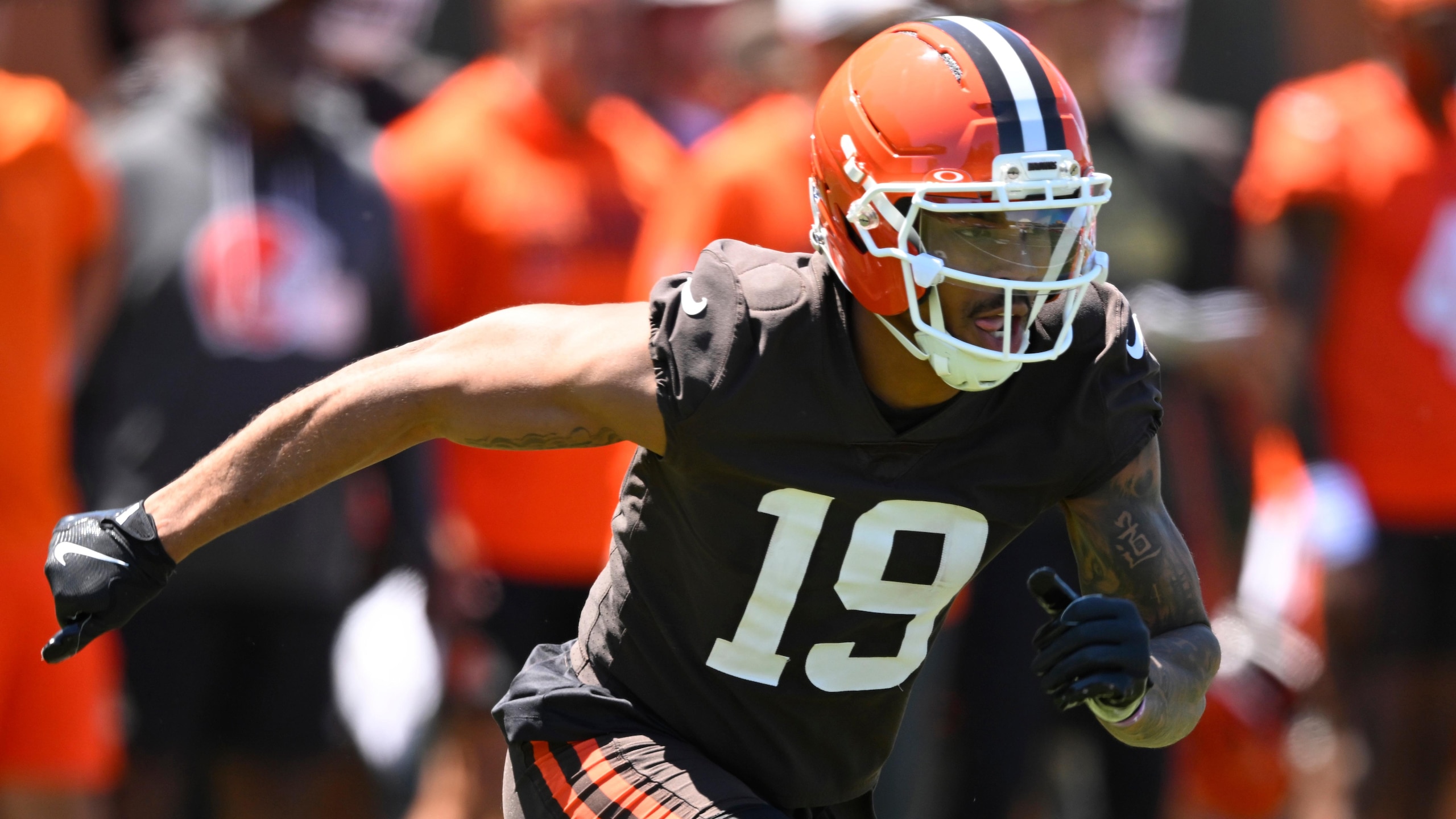 Browns Football