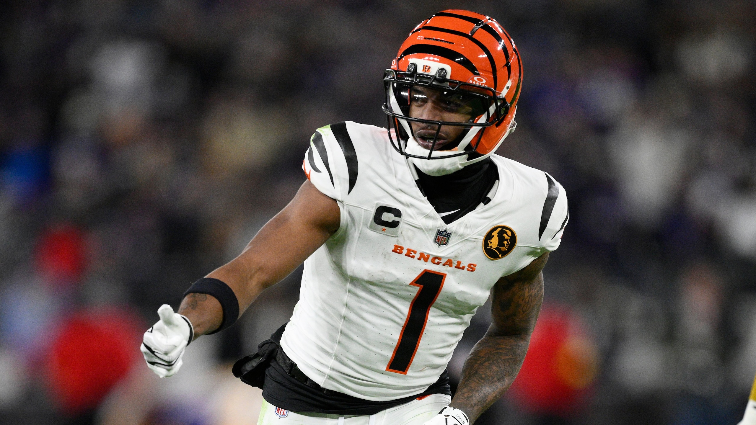 Bengals Ravens Football