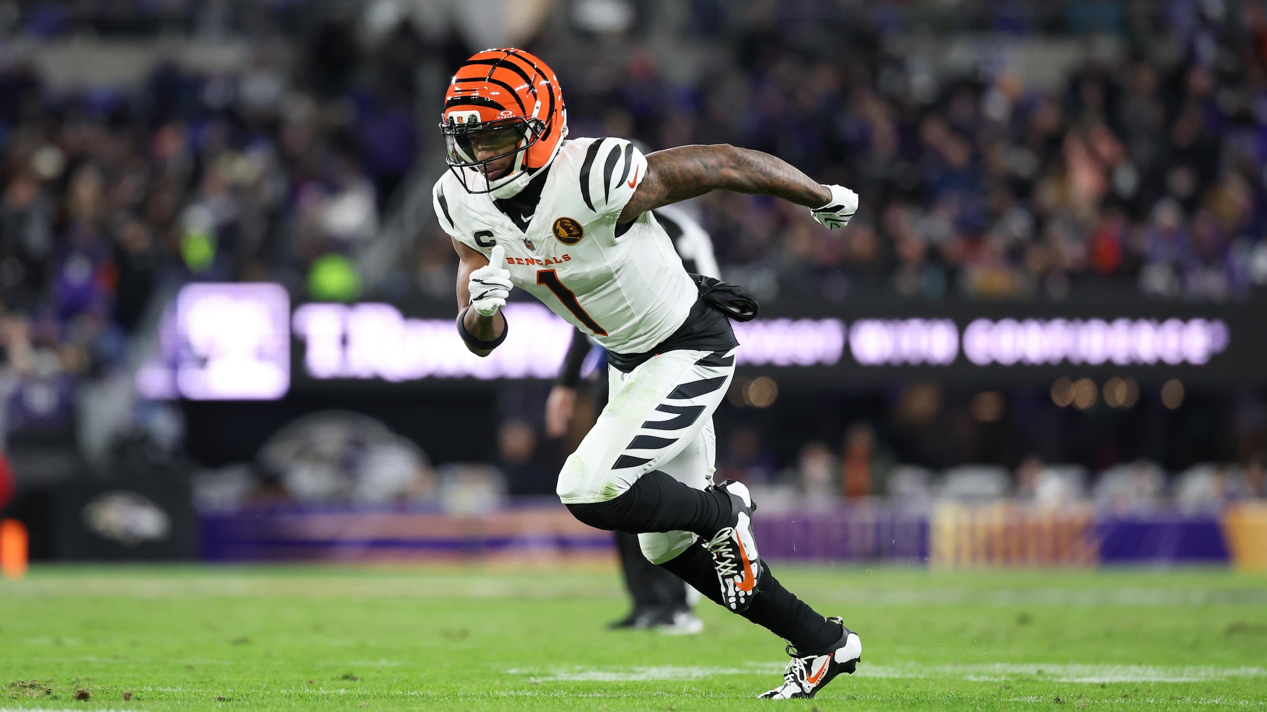 Bengals Ravens Football