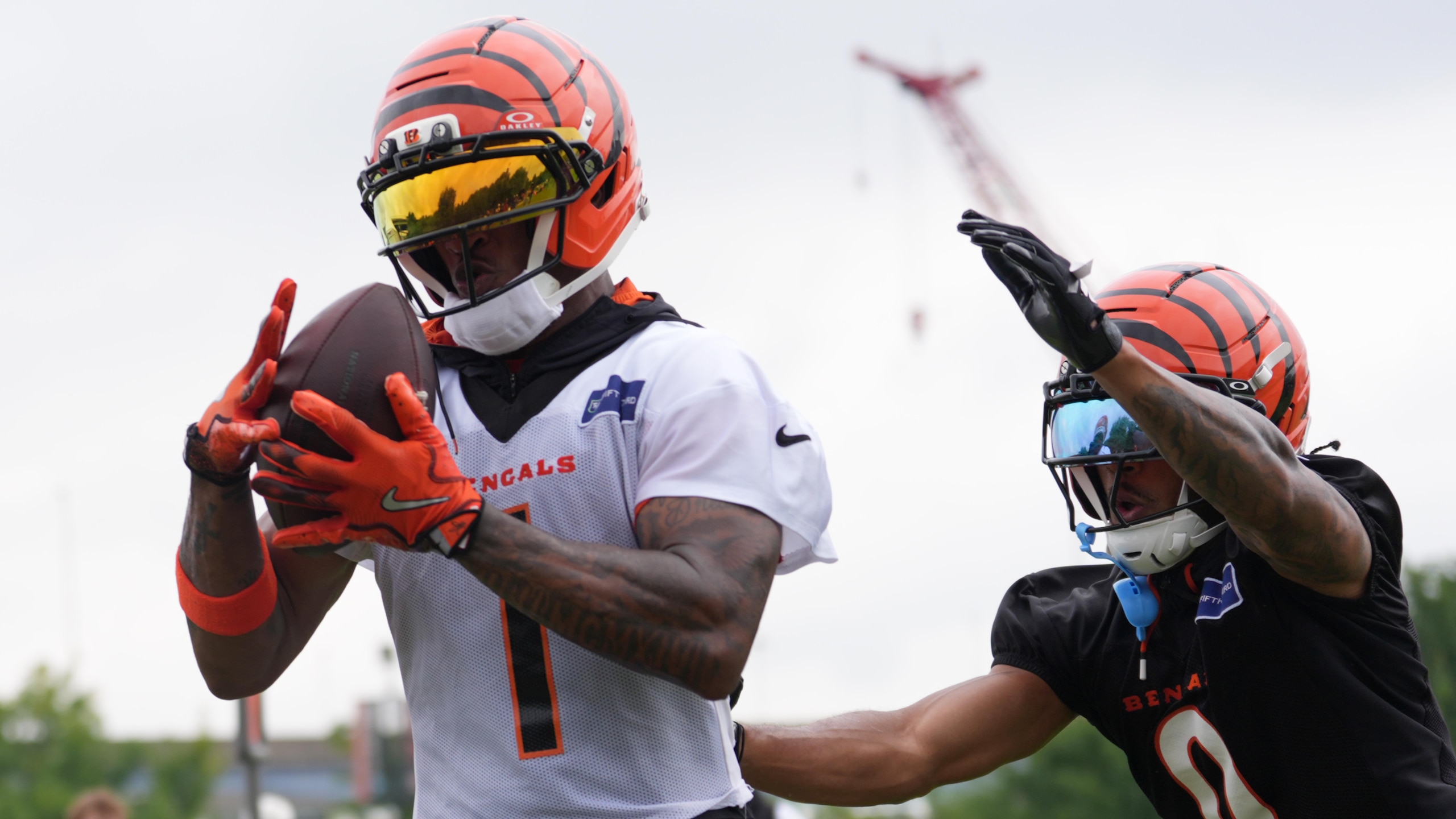 Bengals Camp Football
