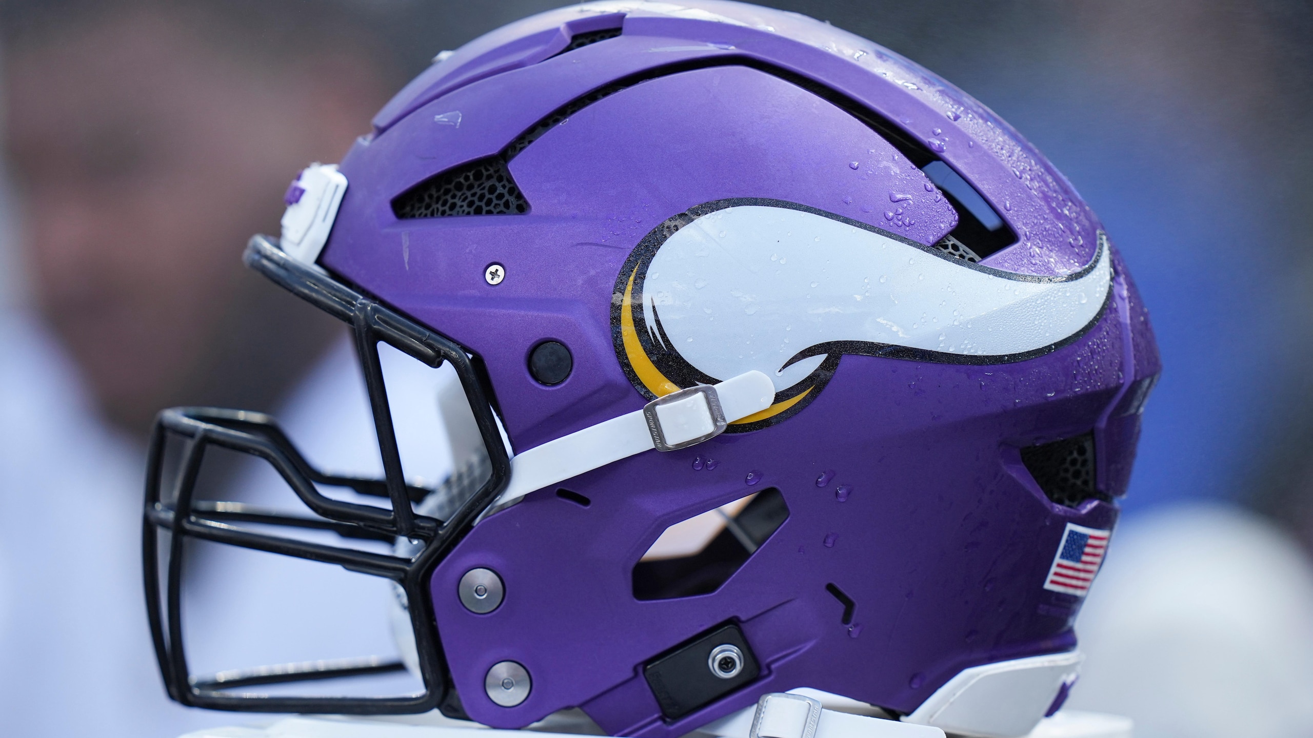 Vikings Giants Football